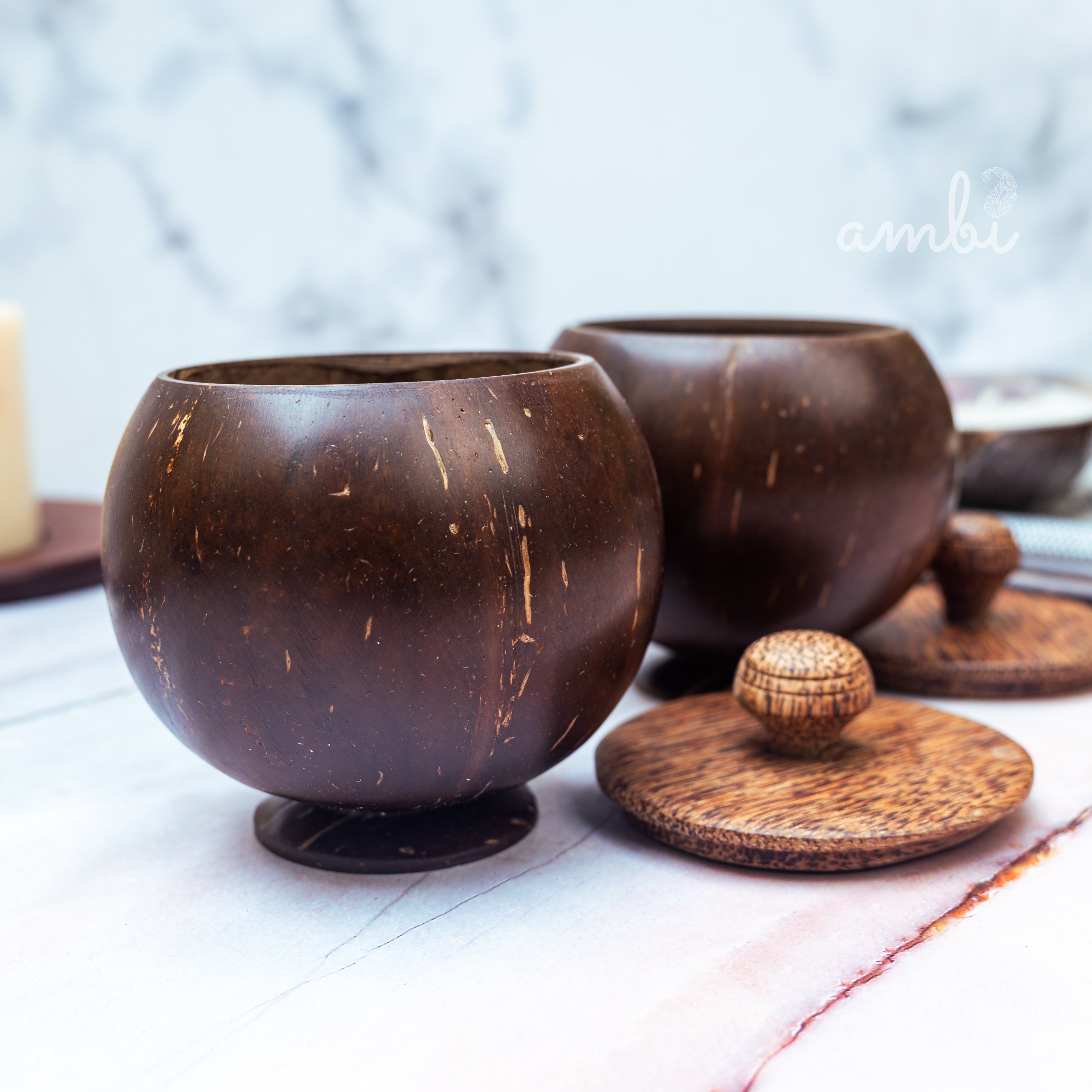 Coconut Shell Storage Container with Wooden Lid — Set of 2, Handcrafted