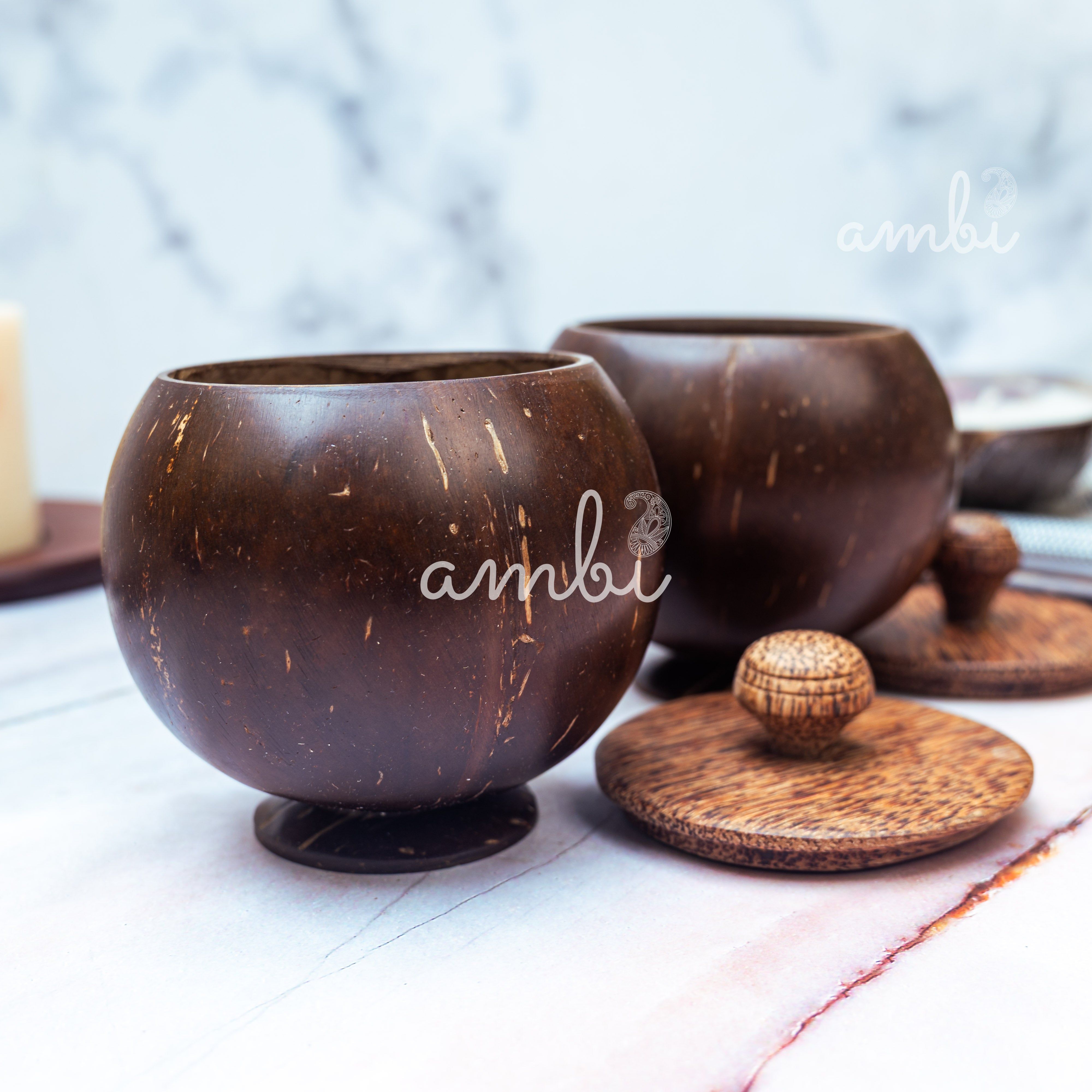 Coconut Shell Storage Container with Wooden Lid - Set of 2