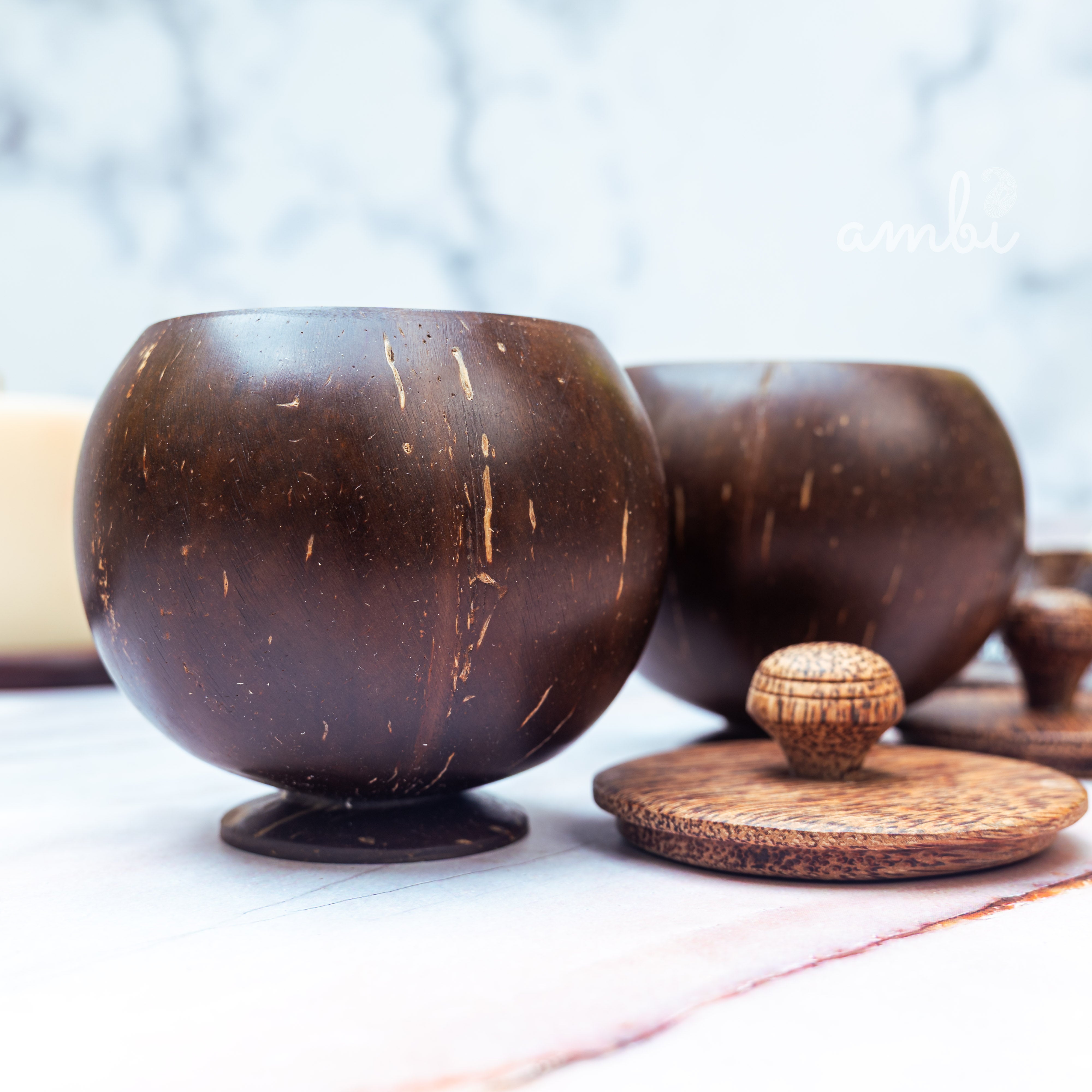 Coconut Shell Storage Container with Wooden Lid — Set of 2, Handcrafted
