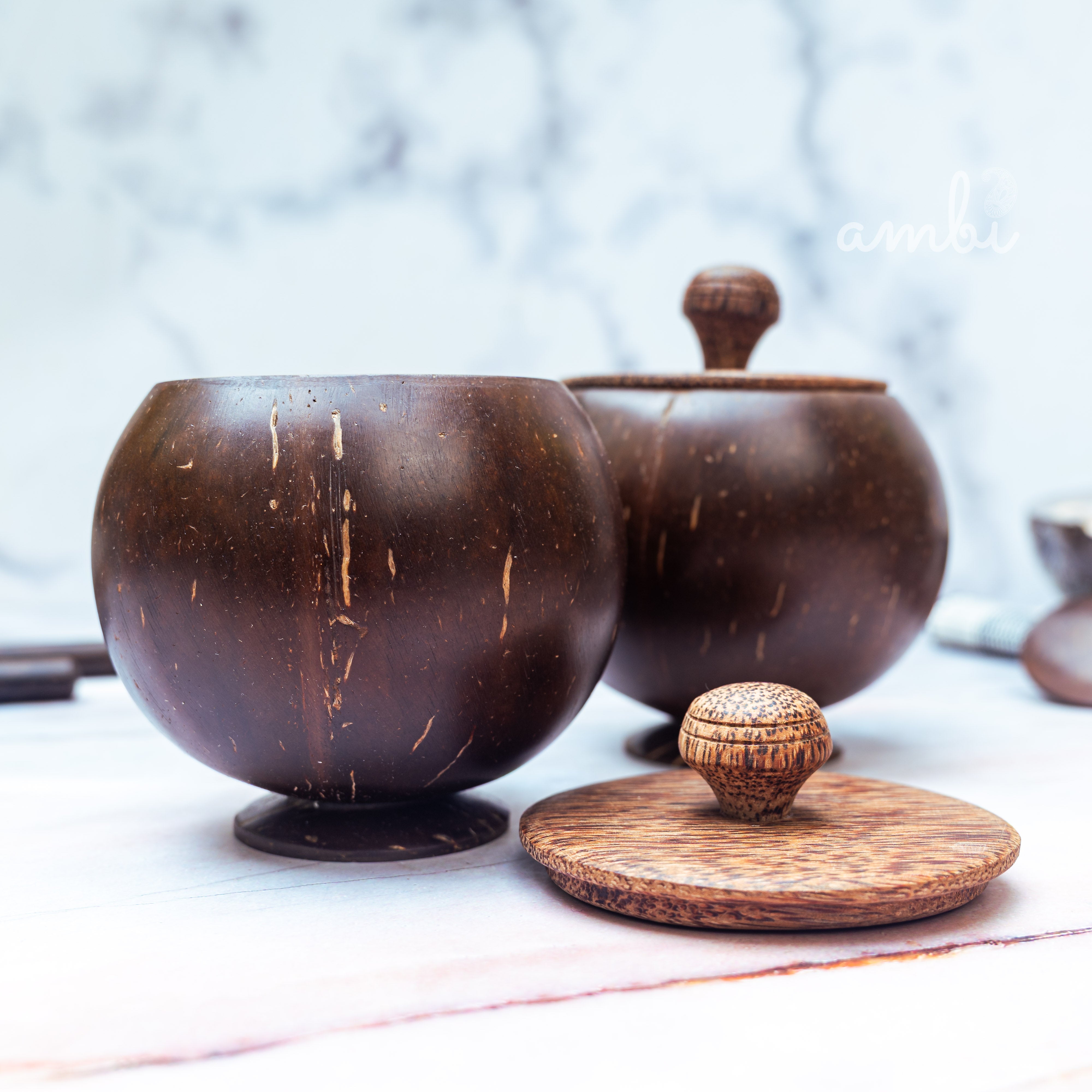 Coconut Shell Storage Container with Wooden Lid — Set of 2, Handcrafted