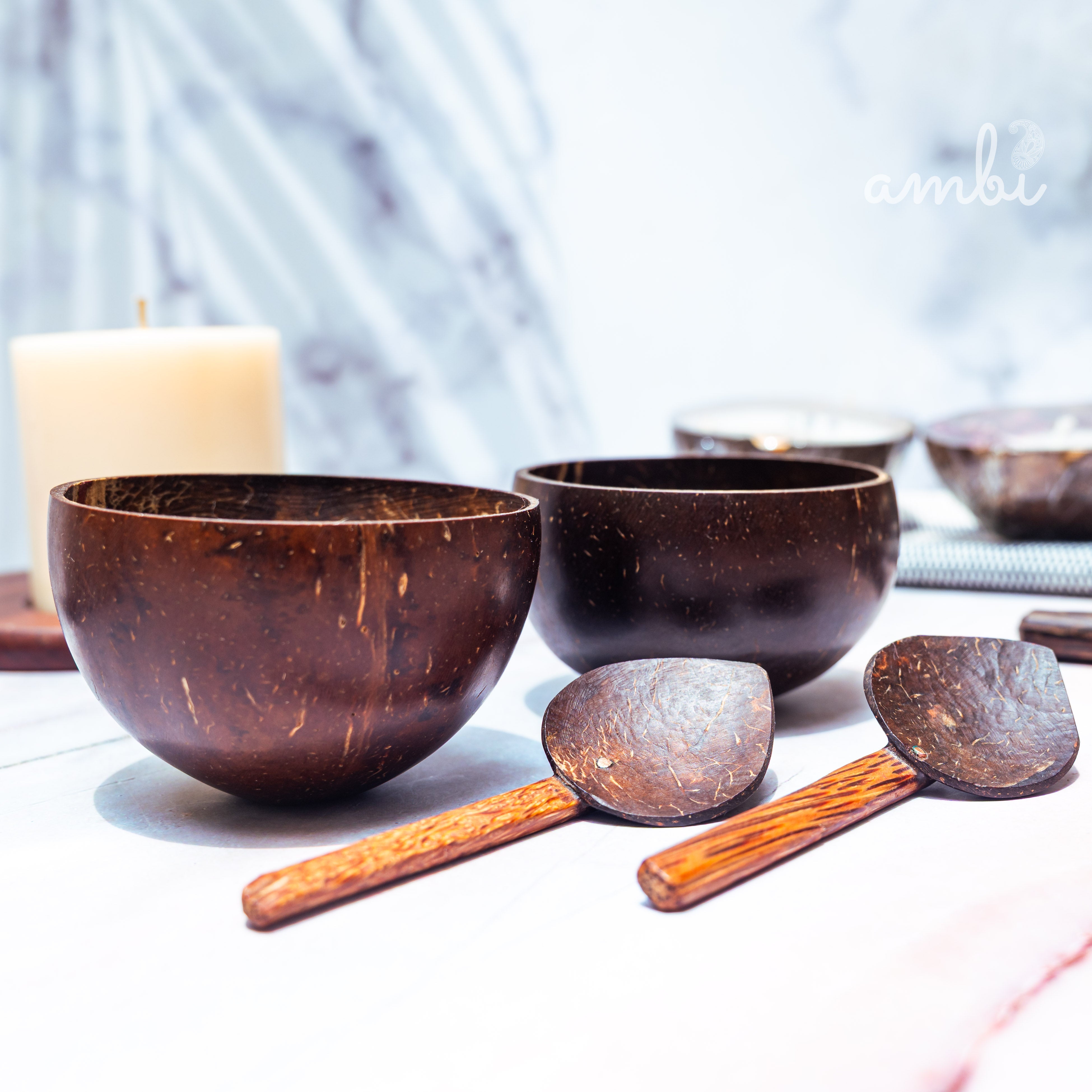 Coconut Shell Mini Serving Bowls — Set of 2, Handcrafted Eco-Friendly Tableware