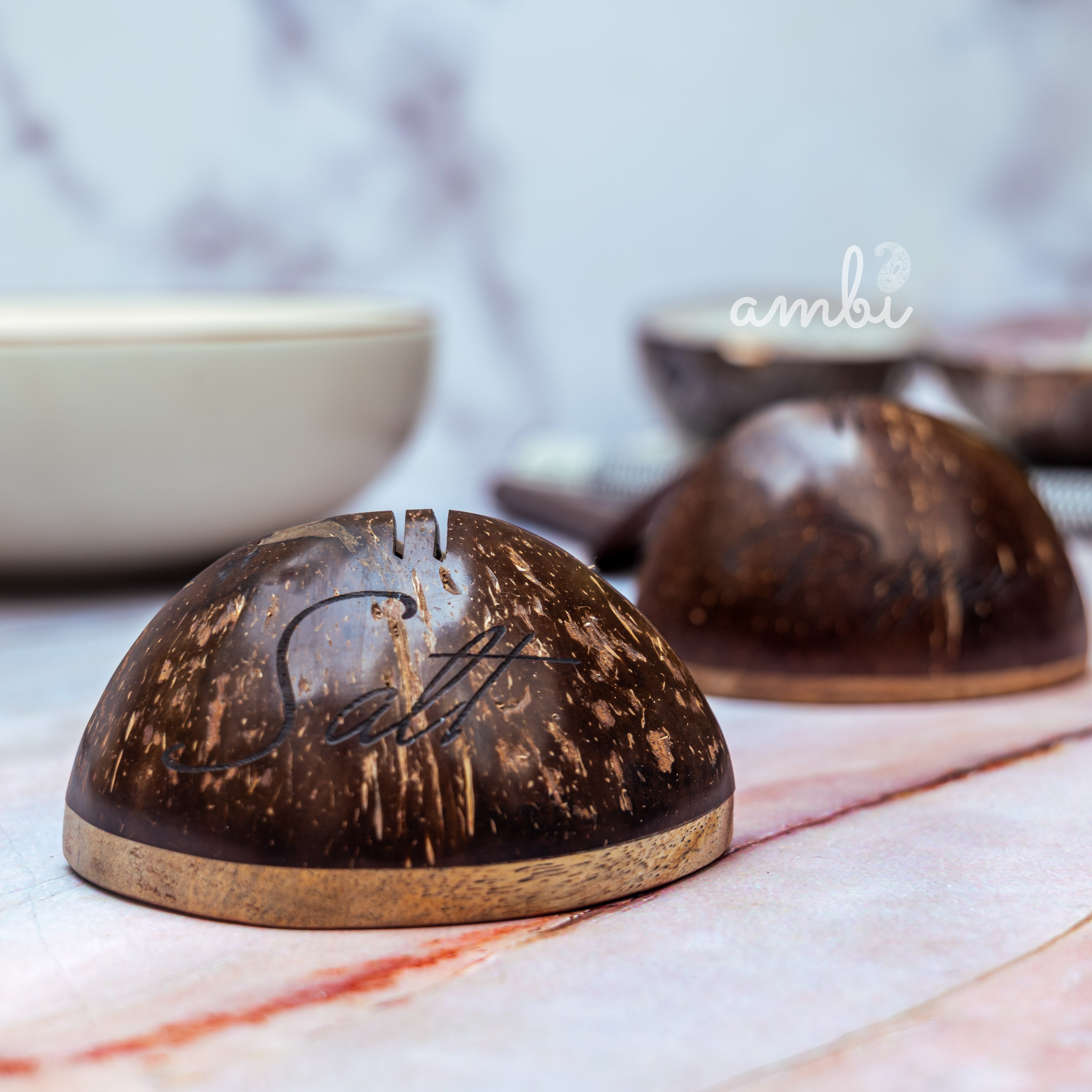 Coconut Shell Salt and Pepper Shaker Set — Handcrafted Eco-Friendly Tableware