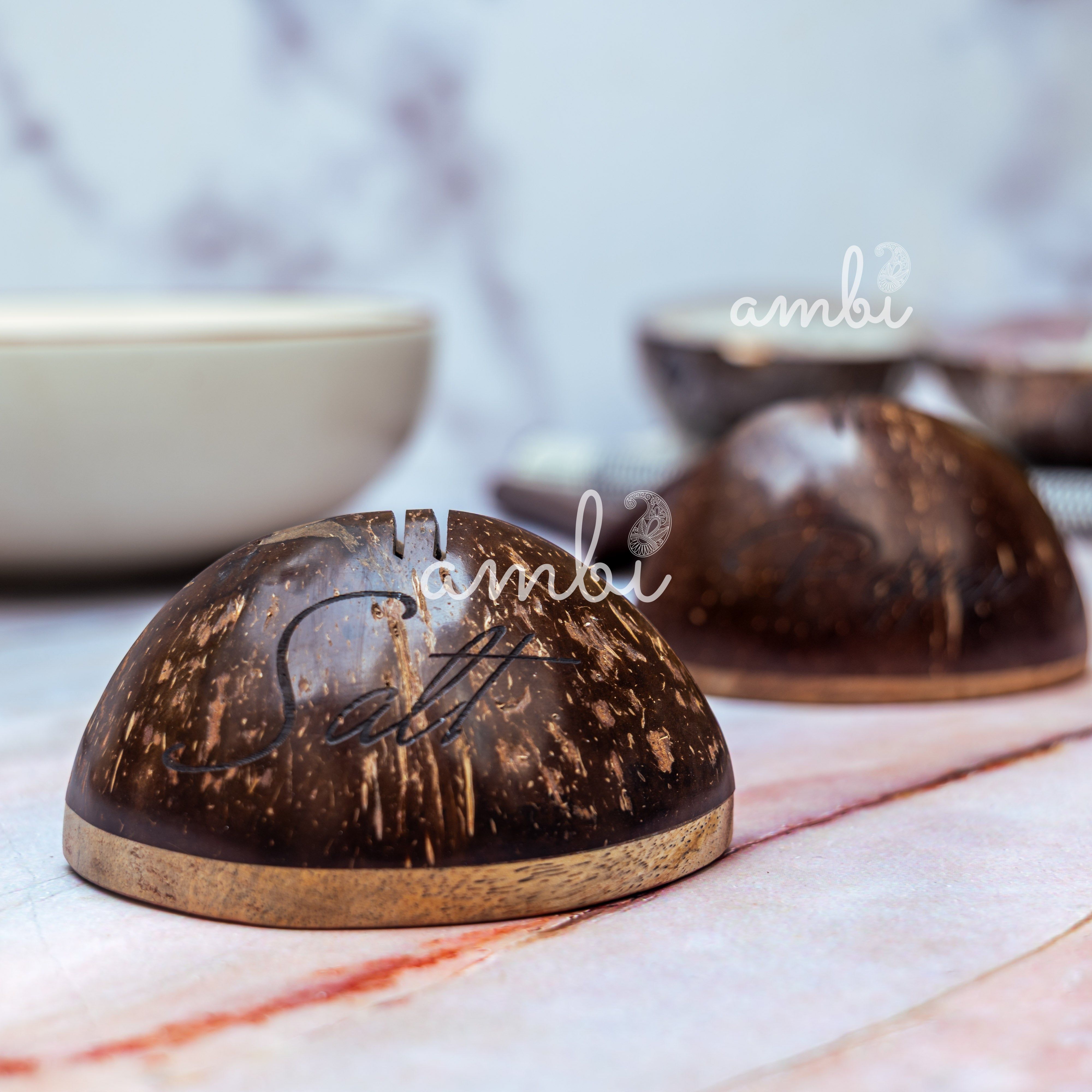 Coconut Shell Wooden Salt and Pepper Shaker Set