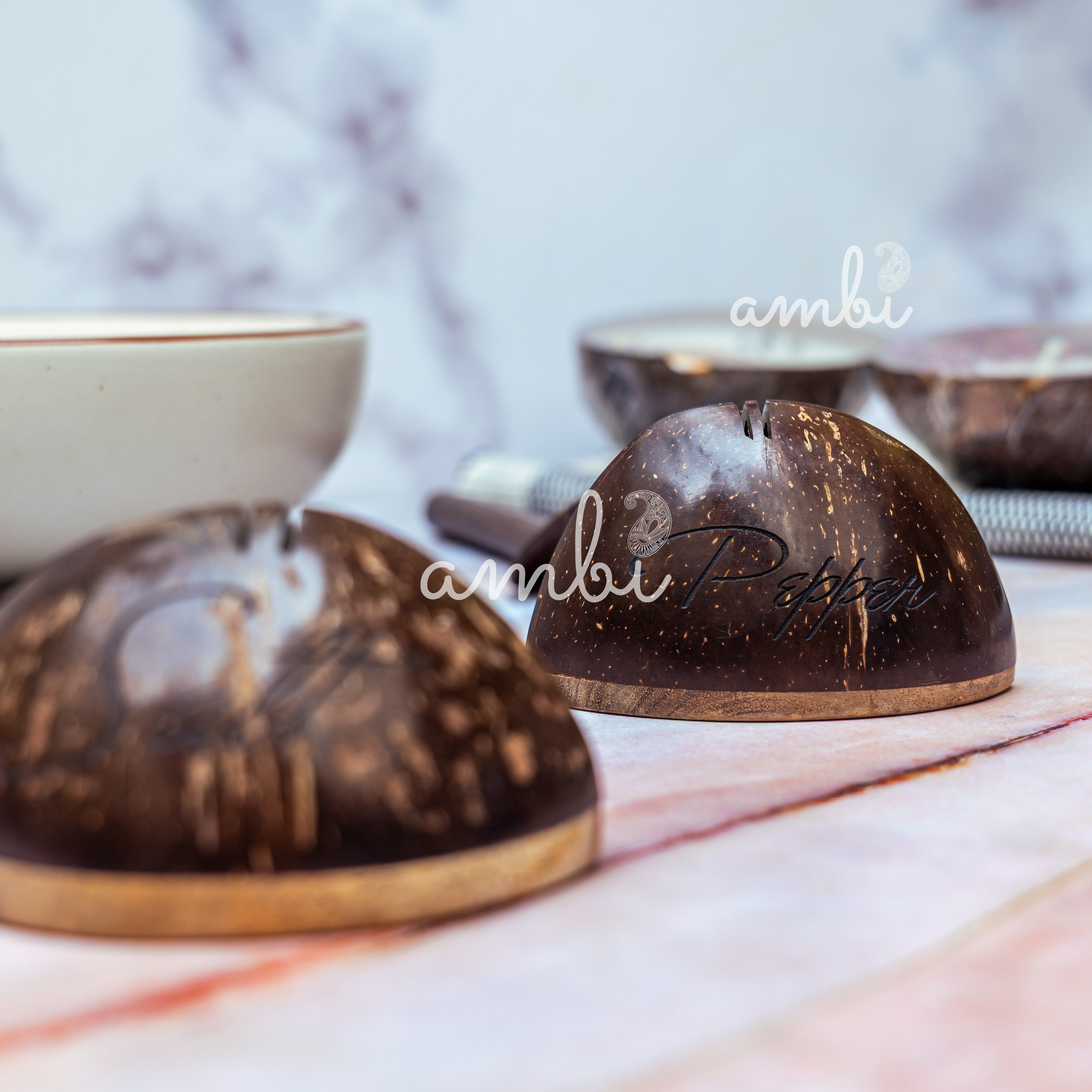 Coconut Shell Wooden Salt and Pepper Shaker Set