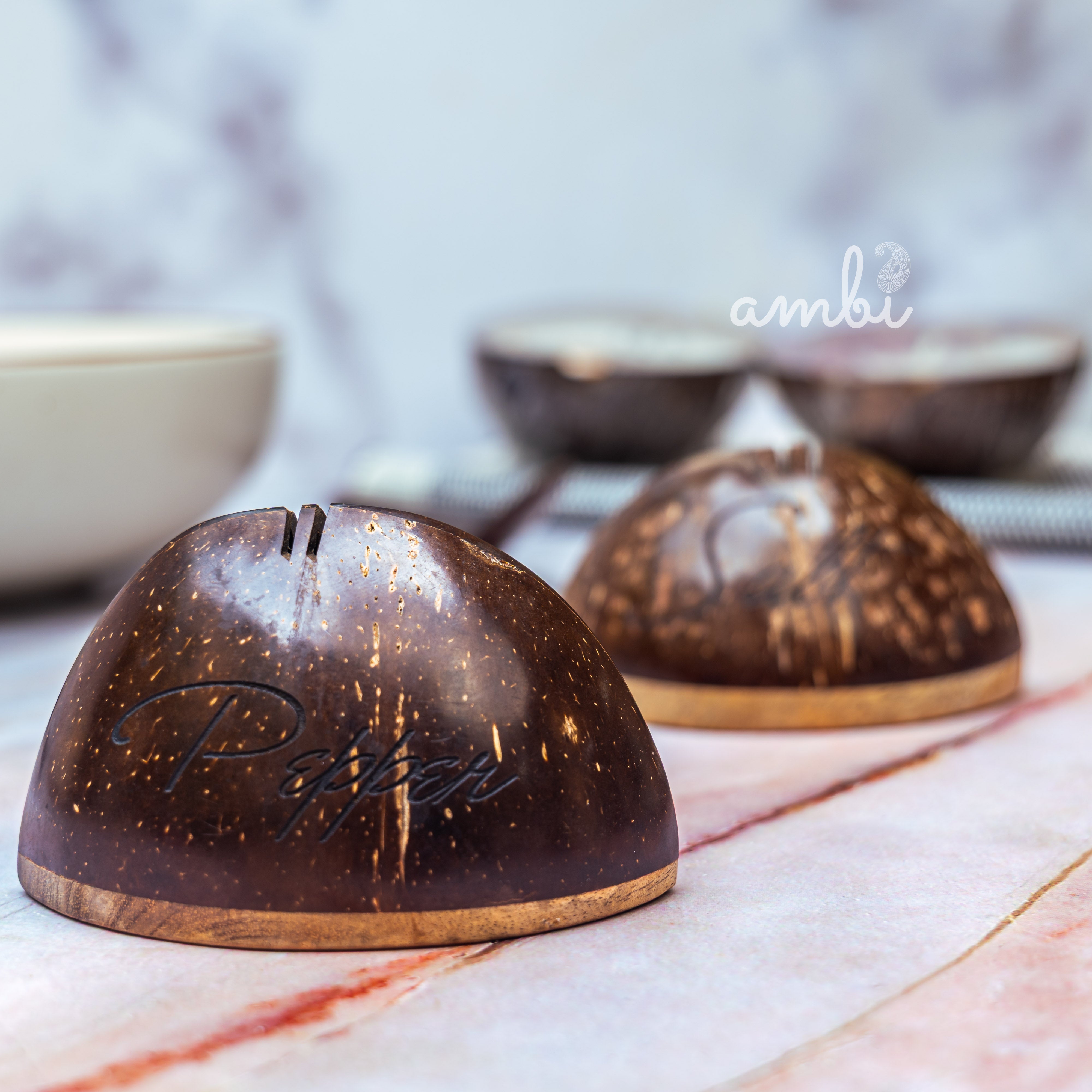 Coconut Shell Salt and Pepper Shaker Set — Handcrafted Eco-Friendly Tableware