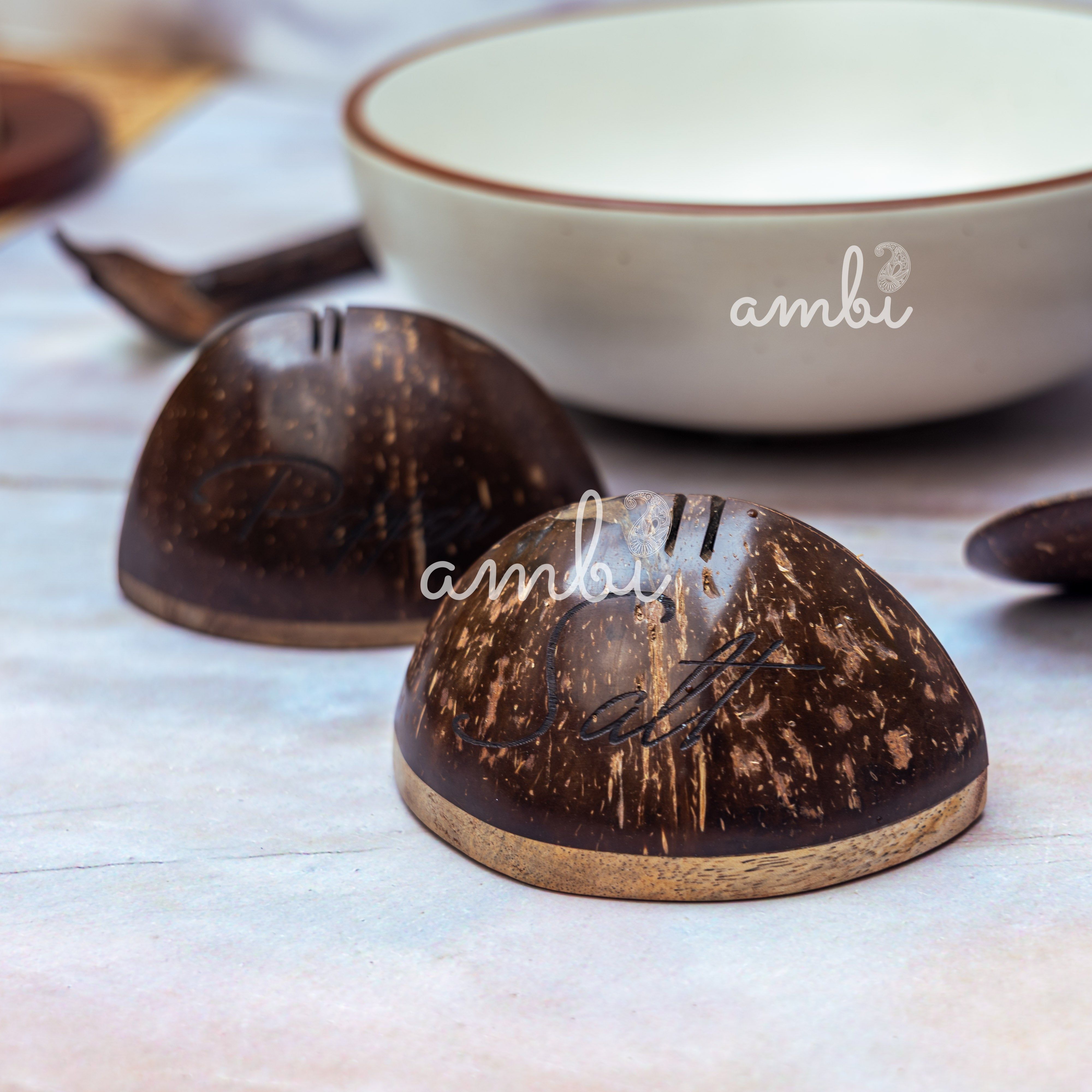 Coconut Shell Wooden Salt and Pepper Shaker Set