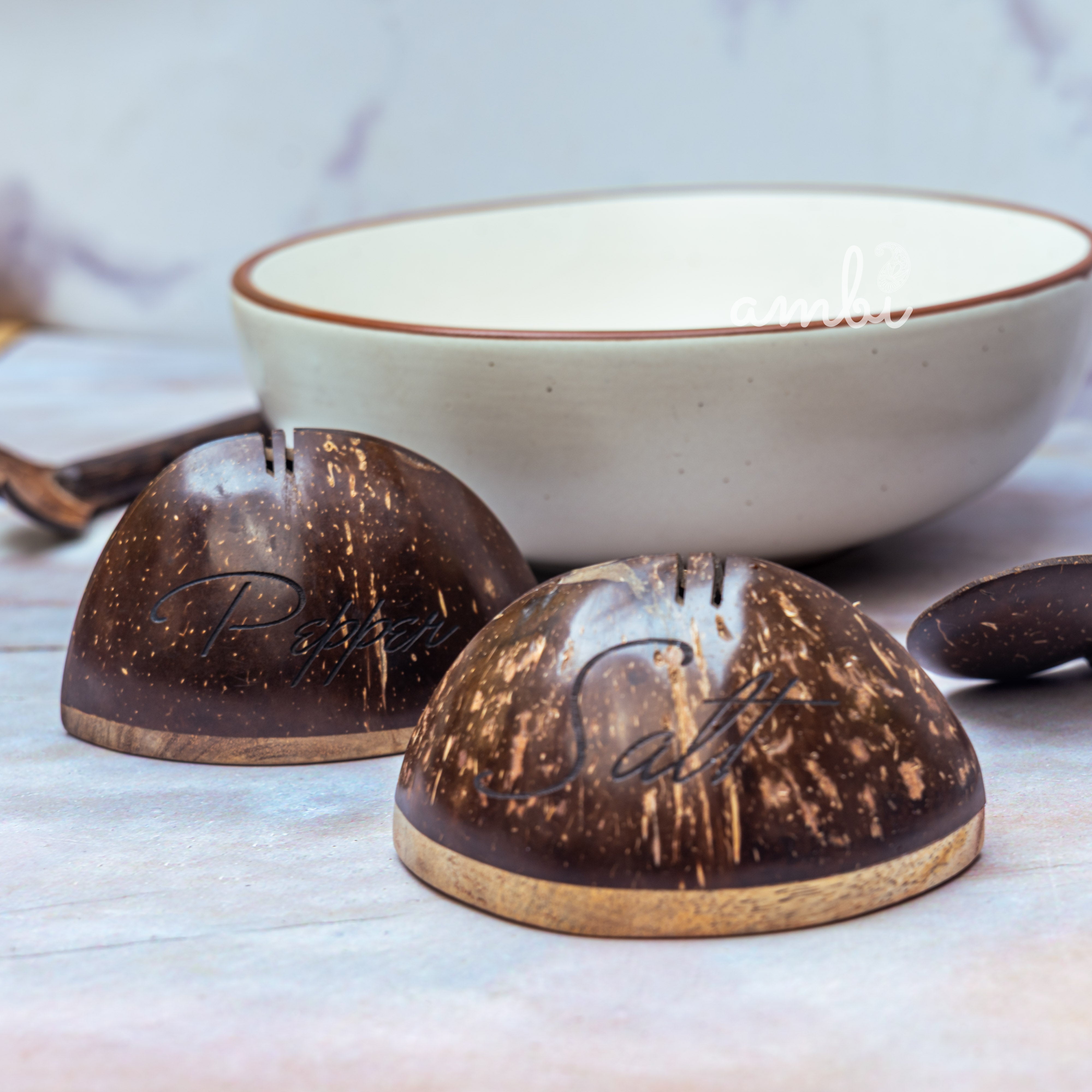 Coconut Shell Salt and Pepper Shaker Set — Handcrafted Eco-Friendly Tableware