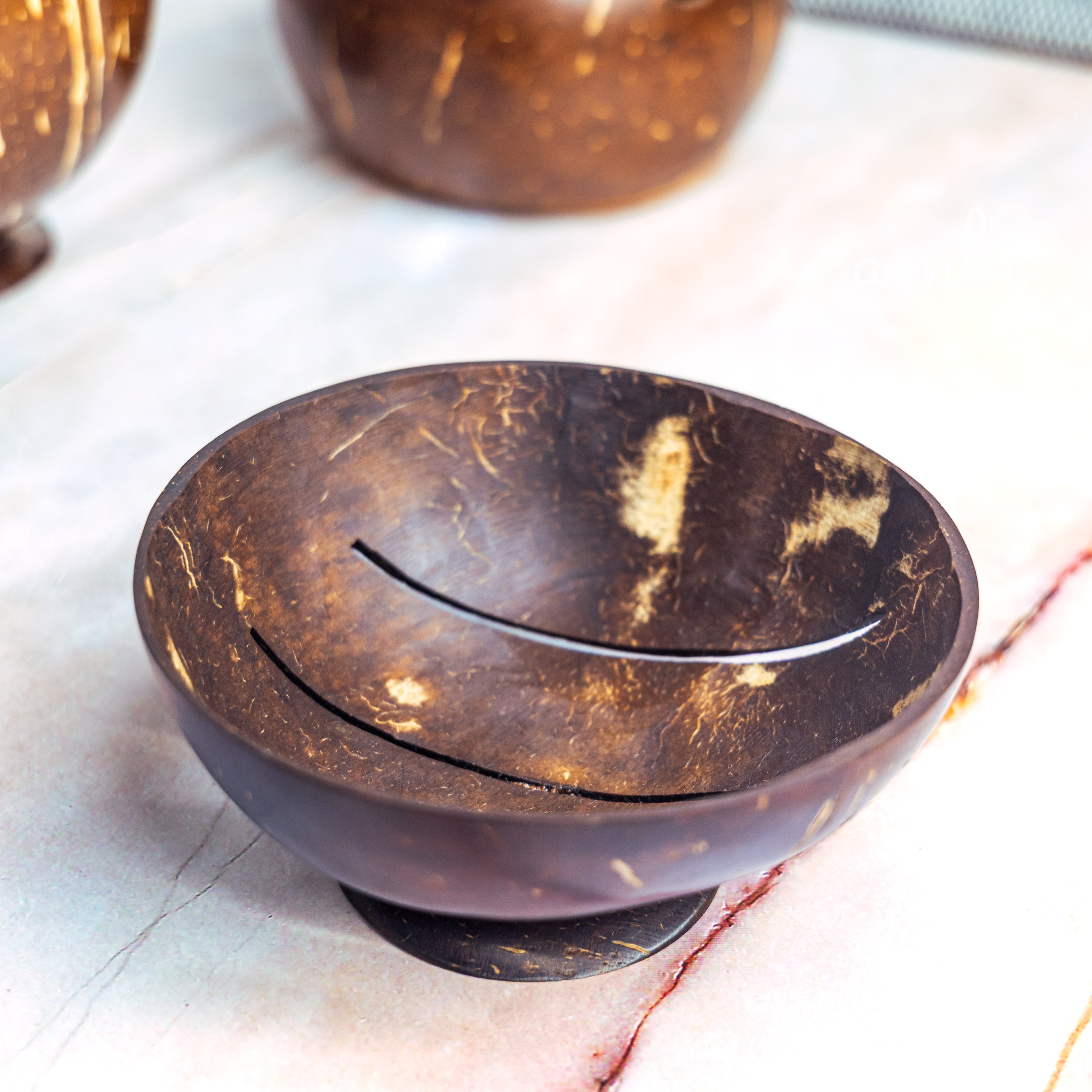 Coconut Shell Bathroom Set - Soap Dispenser, Soap Dish and Toothbrush Holder