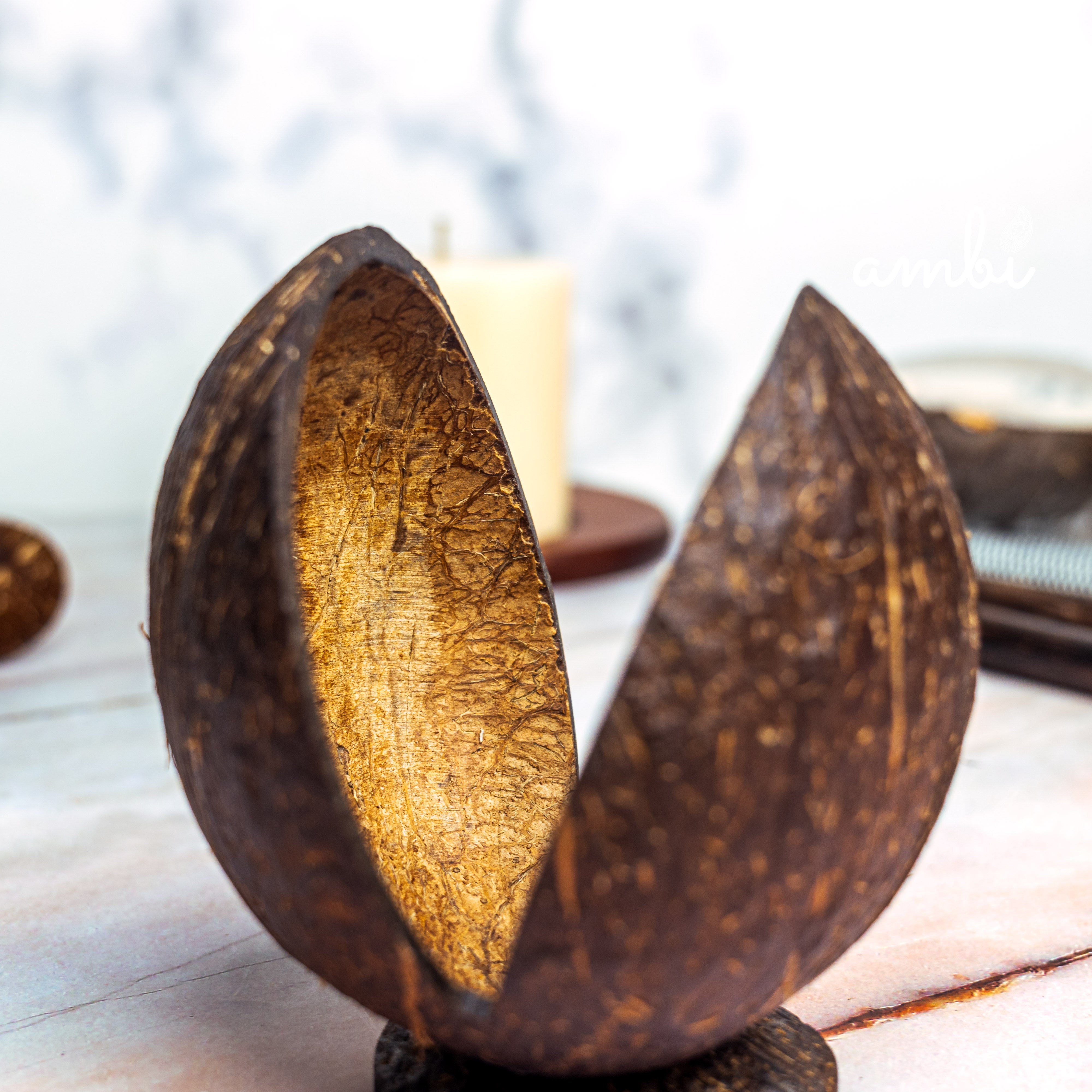 Coconut Shell Tissue Paper Holder — Handcrafted & Eco-Friendly