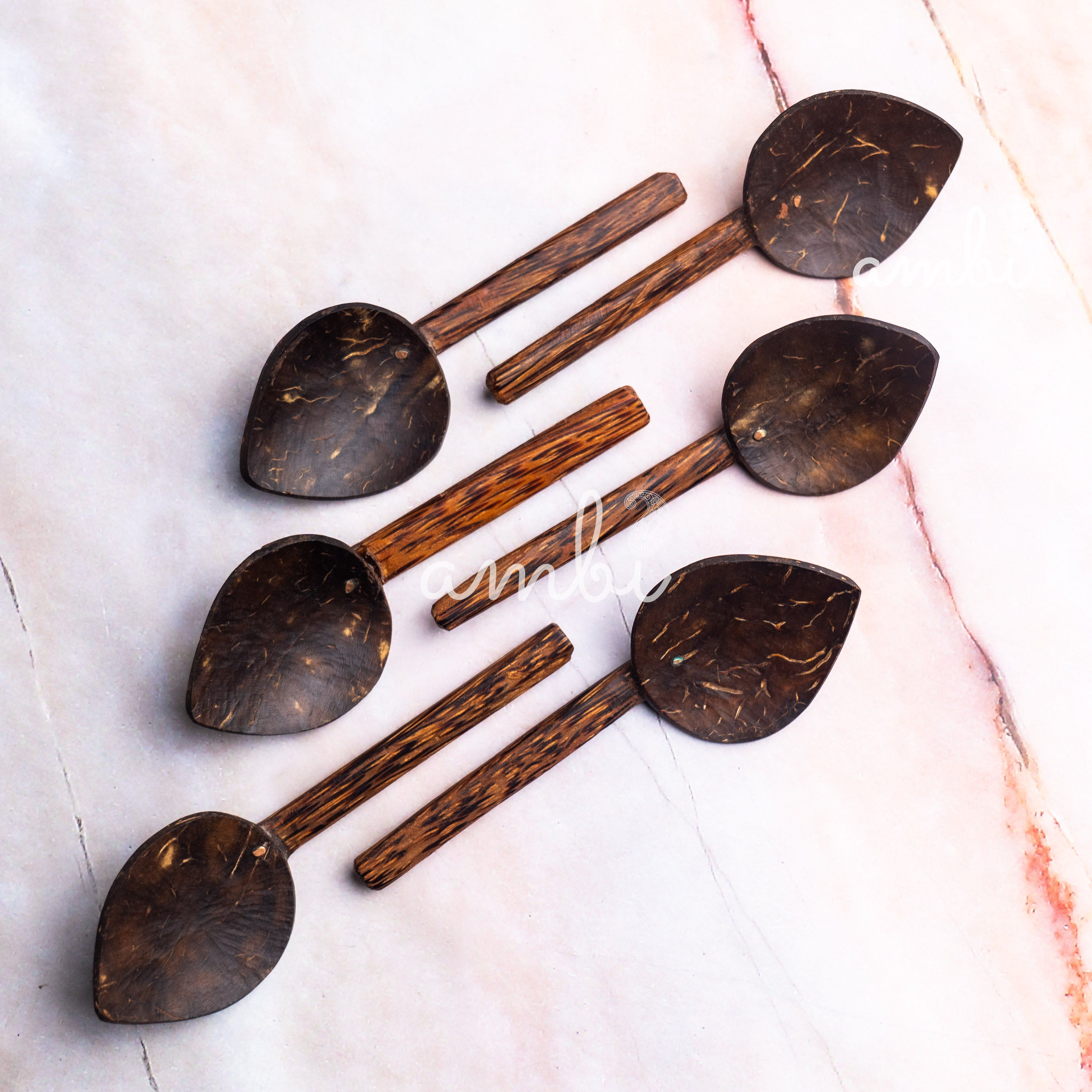 Coconut Shell Small Spoons for Spices, Tea, Coffee, Sugar, Desserts - Set of 6