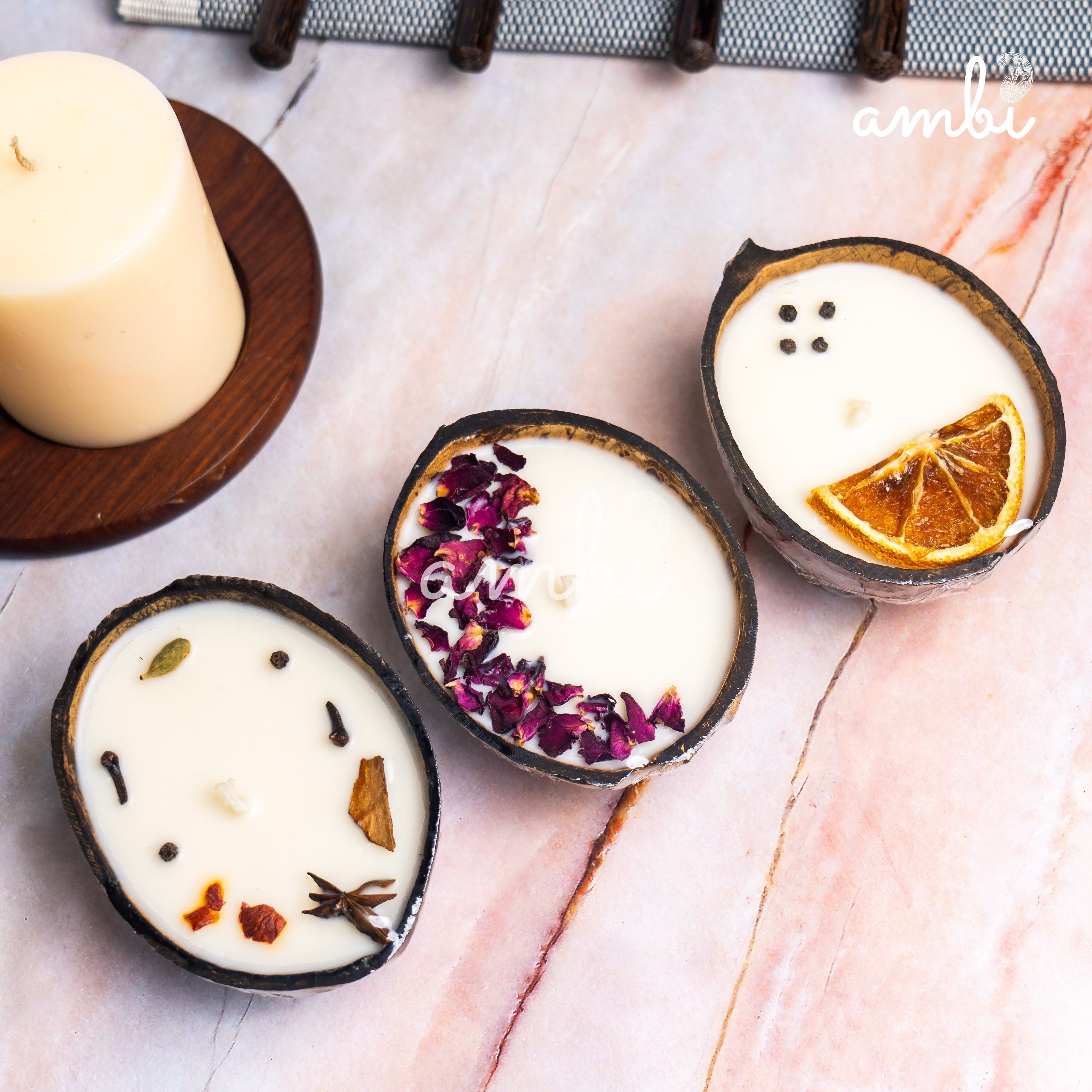 Coconut Shell Eco-Friendly Scented Candles Gift Set - Box of 3 Candles