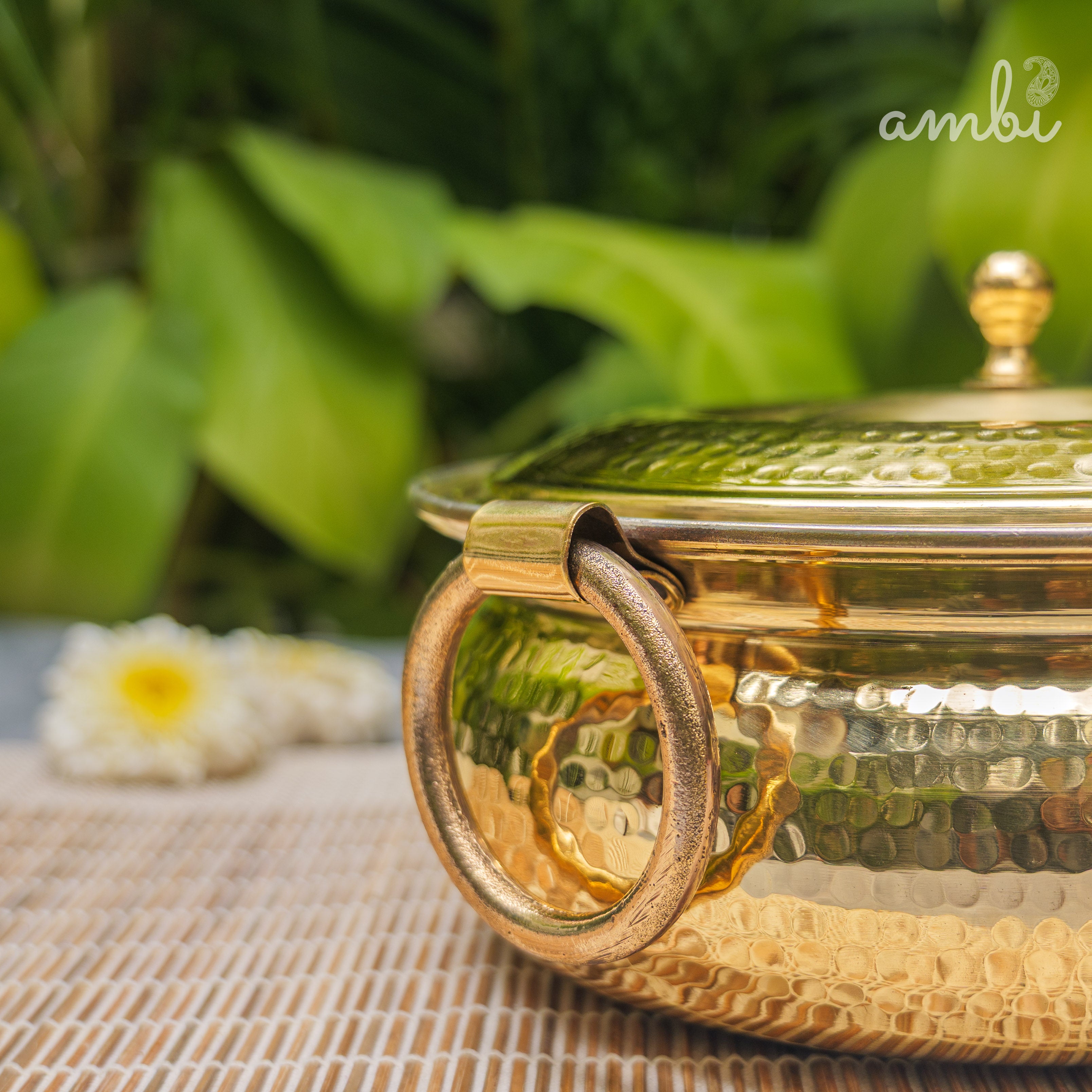 Pure Brass Hammered Biriyani Lagan / Degchi with Kalai - 9 inches diameter
