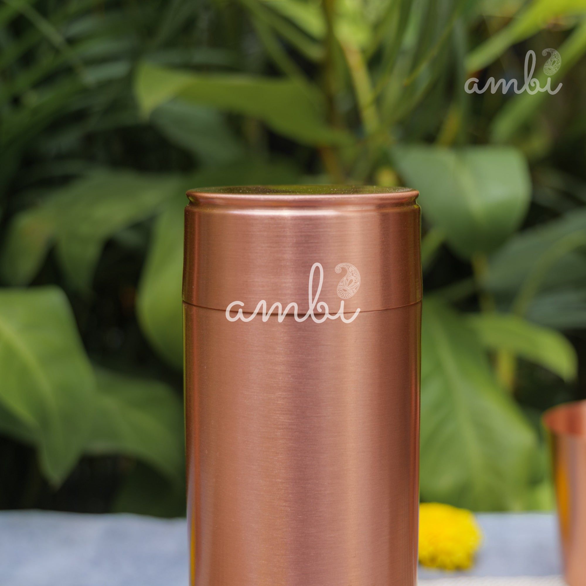 Ambi Pure Heavy Make Classy Copper Water Bottle - 700 ML
