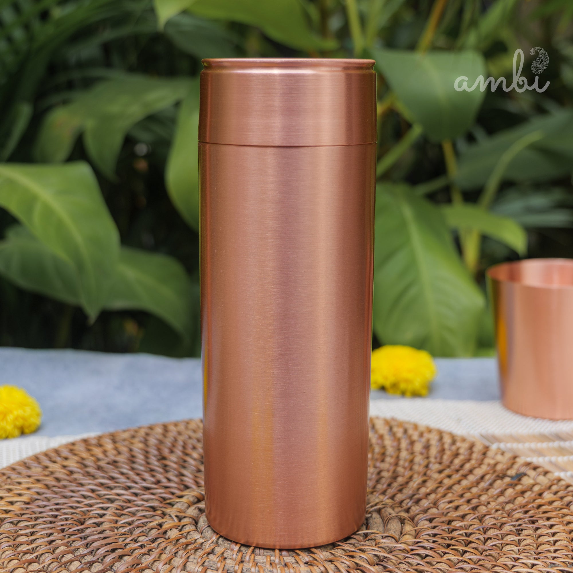 Ambi Pure Heavy Make Classy Copper Water Bottle - 700 ML