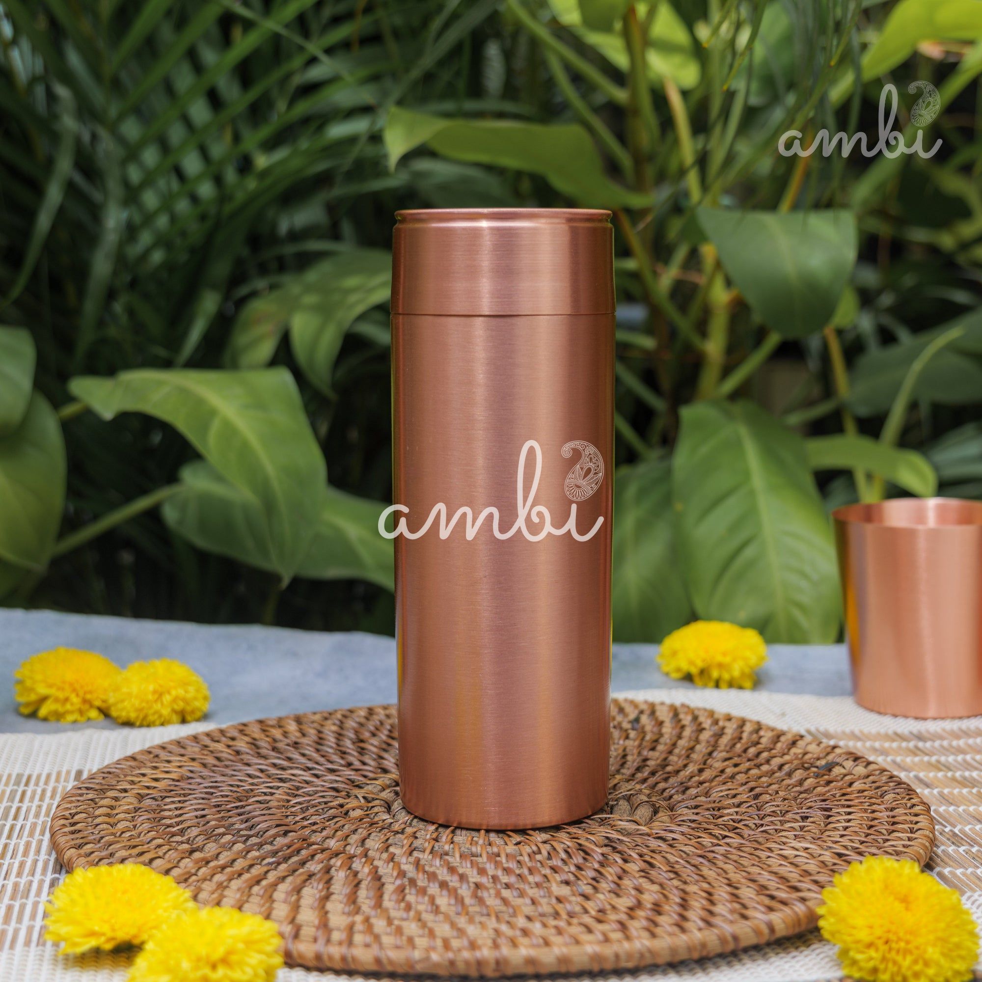 Ambi Pure Heavy Make Classy Copper Water Bottle - 700 ML
