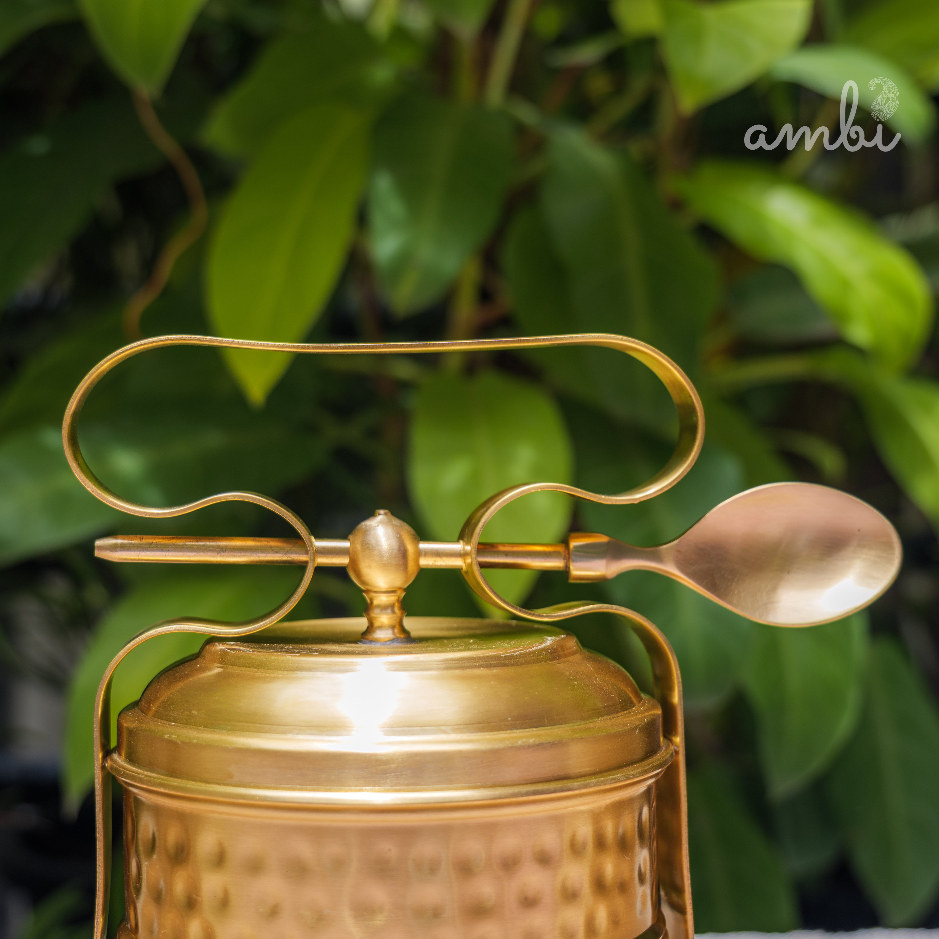 AMBI Pure Brass Hammered Two Tier Tiffin Box With Spoon