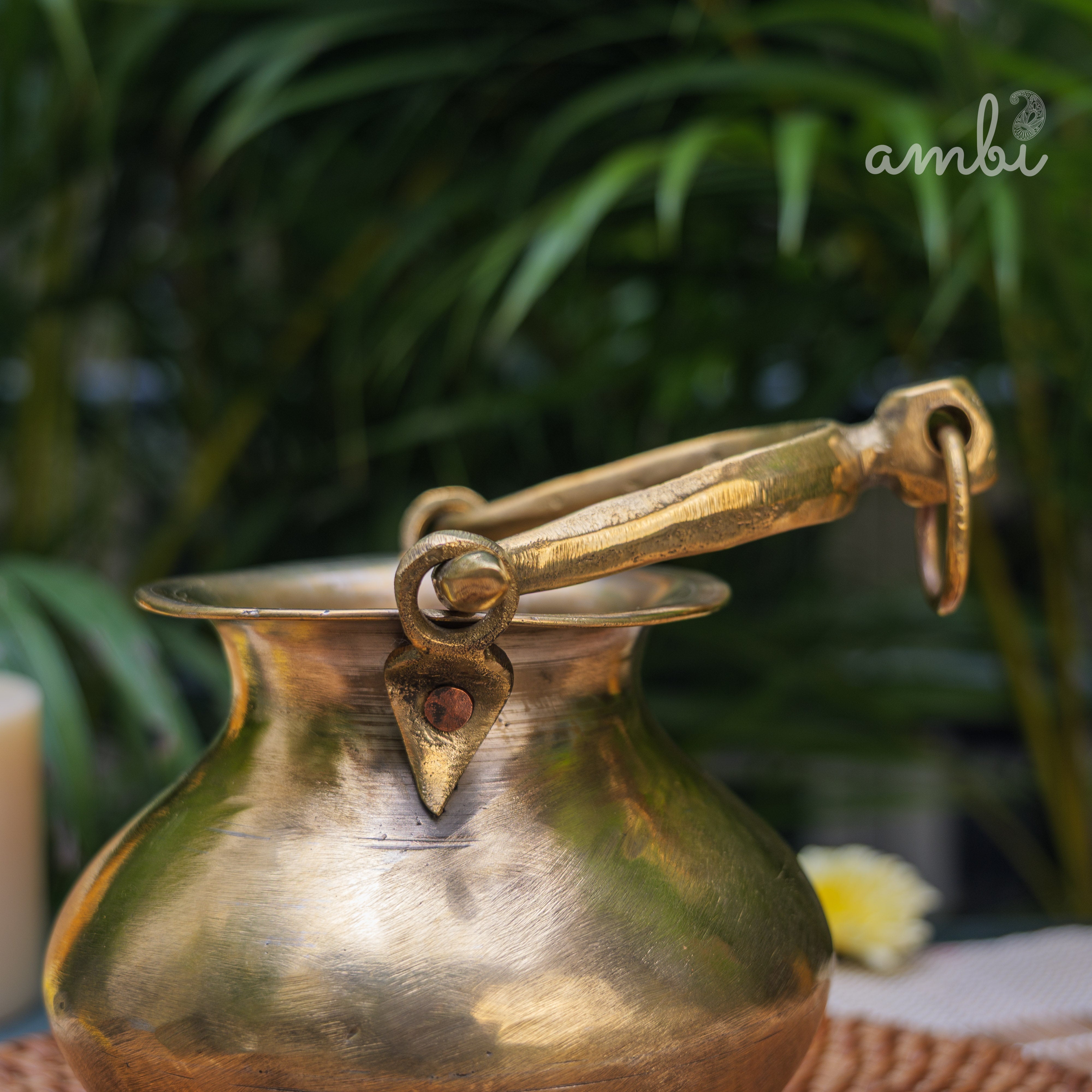 Brass pot with a lid on a blurred green plant background