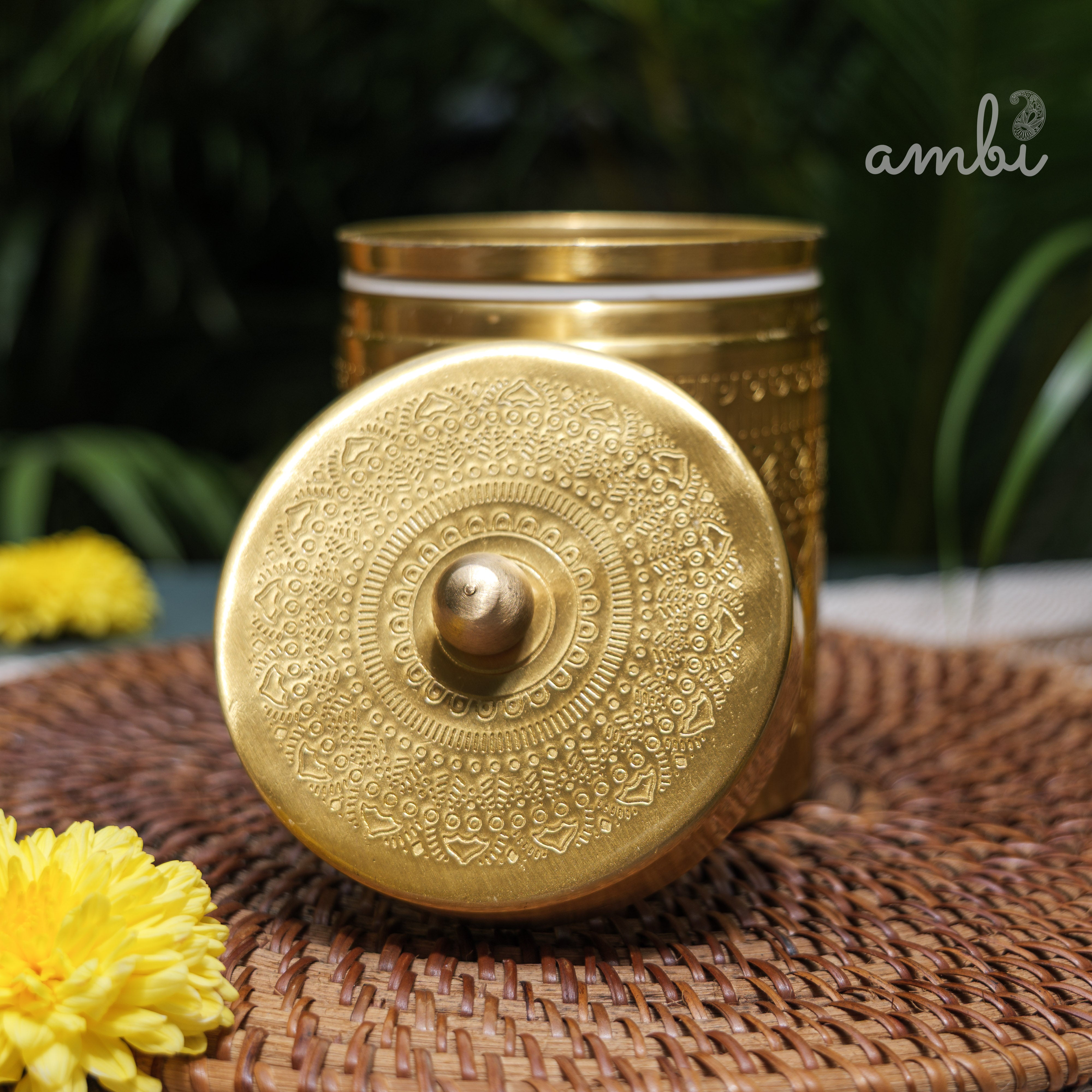 Ambi Pure Brass Elegant Etched Medium Storage Box