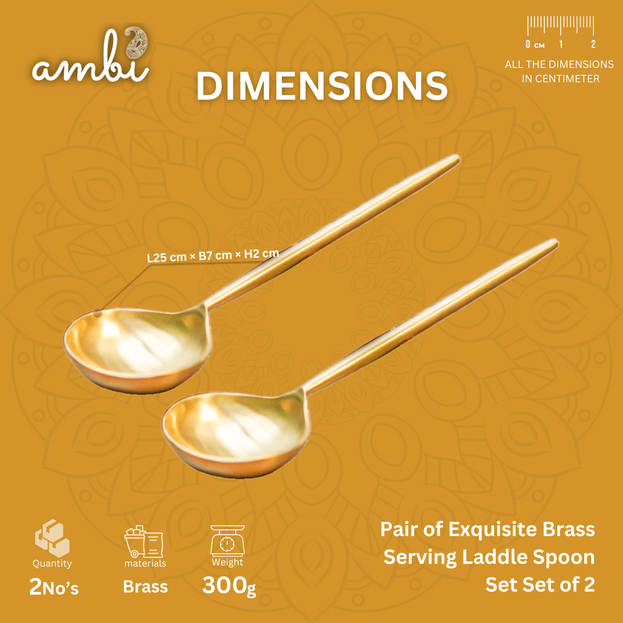 Pair of Exquisite Brass Serving Laddle Spoon Set