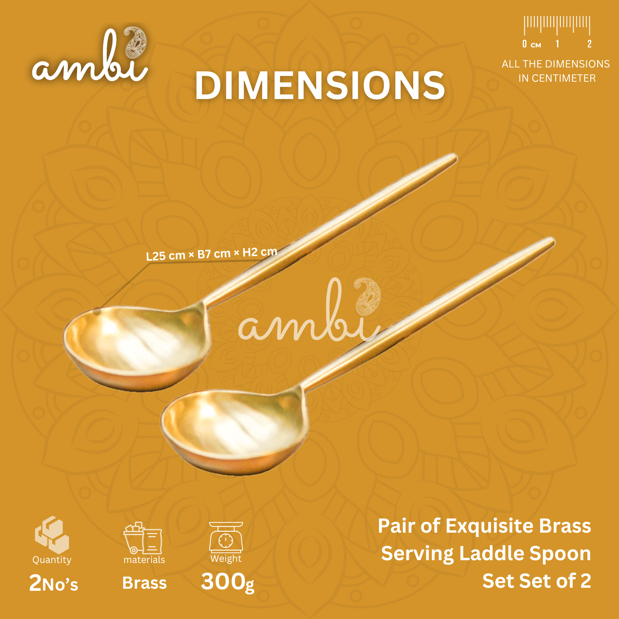 Pair of Exquisite Brass Serving Ladle Spoon Set