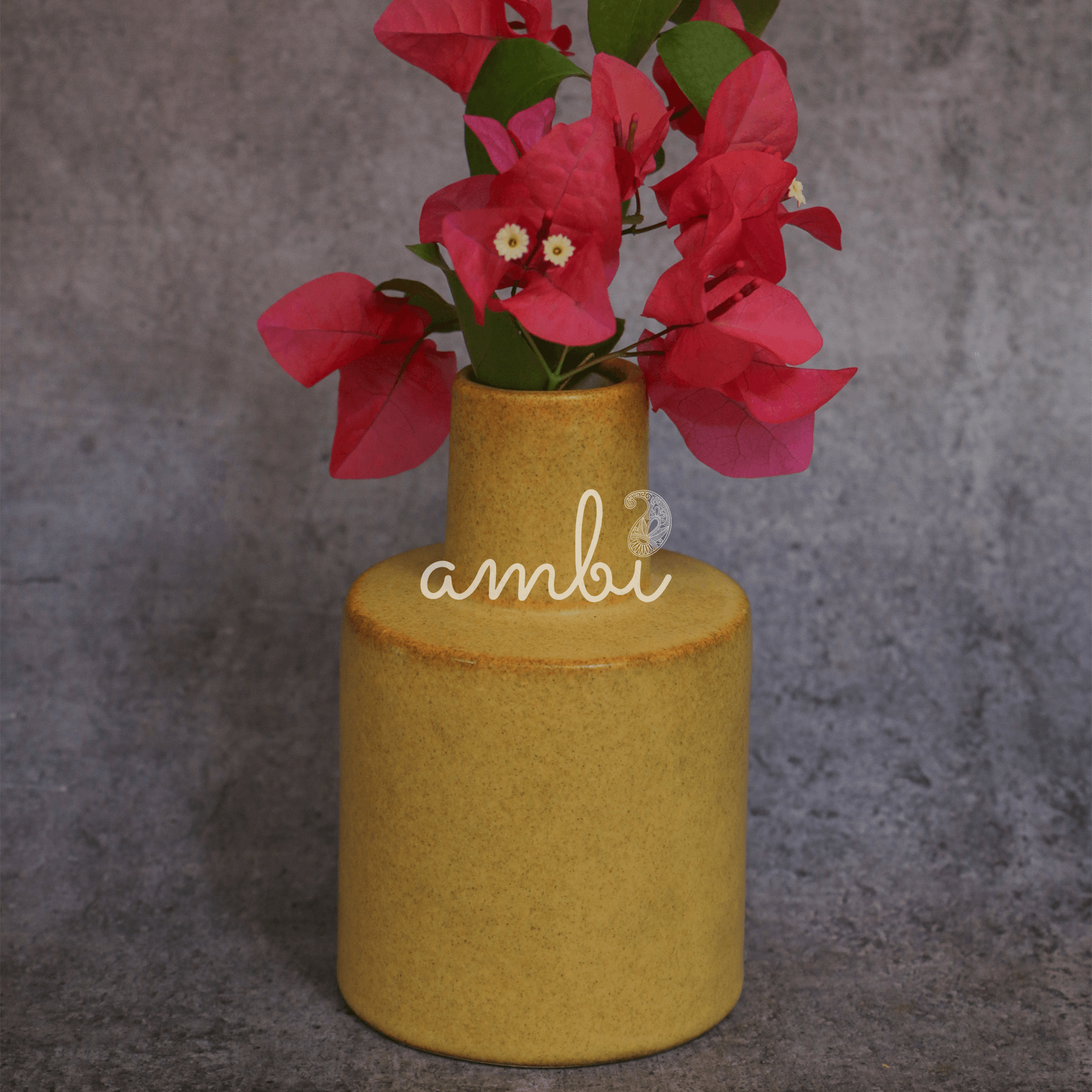 Ambi Pottery Handmade Small Planter