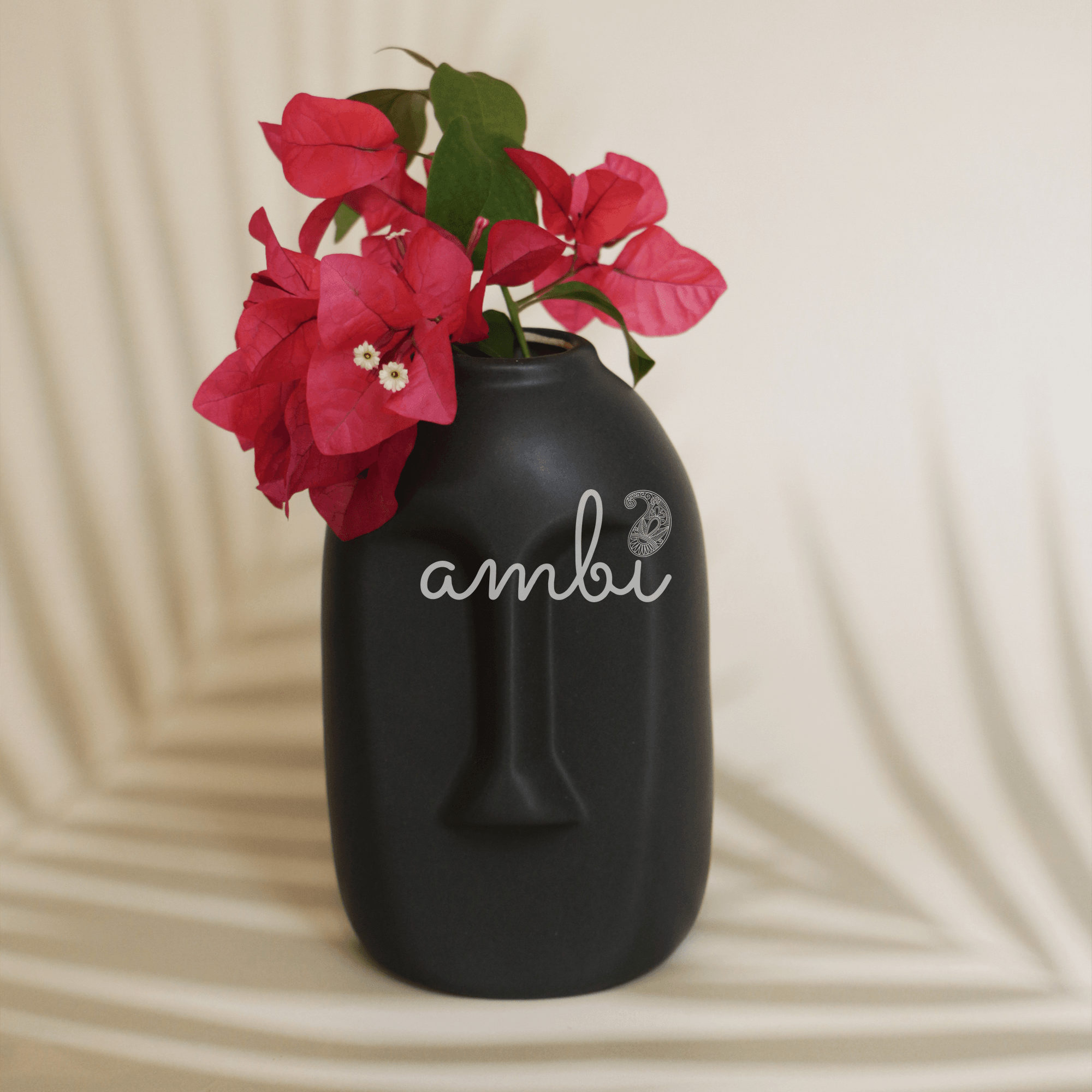 Ambi Charcoal Black Planter