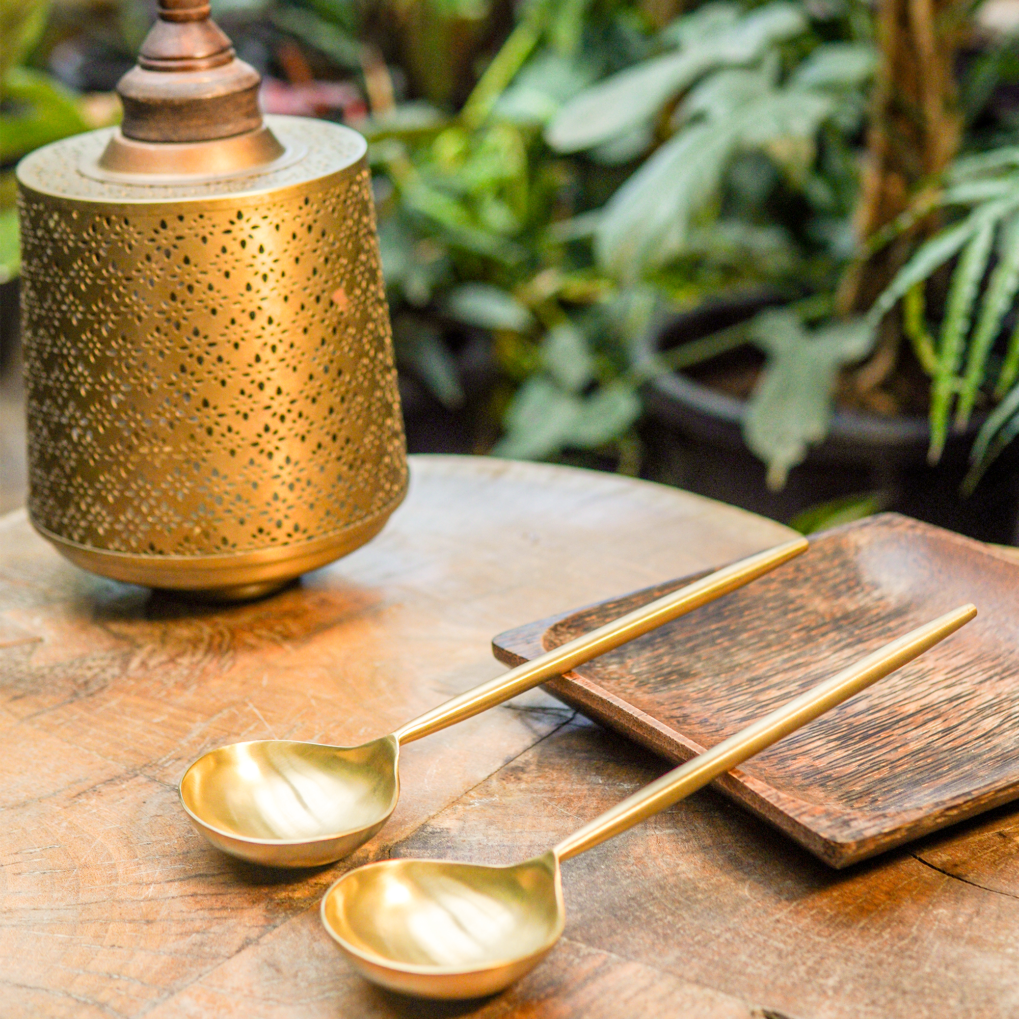 Pair of Exquisite Brass Serving Laddle Spoon Set