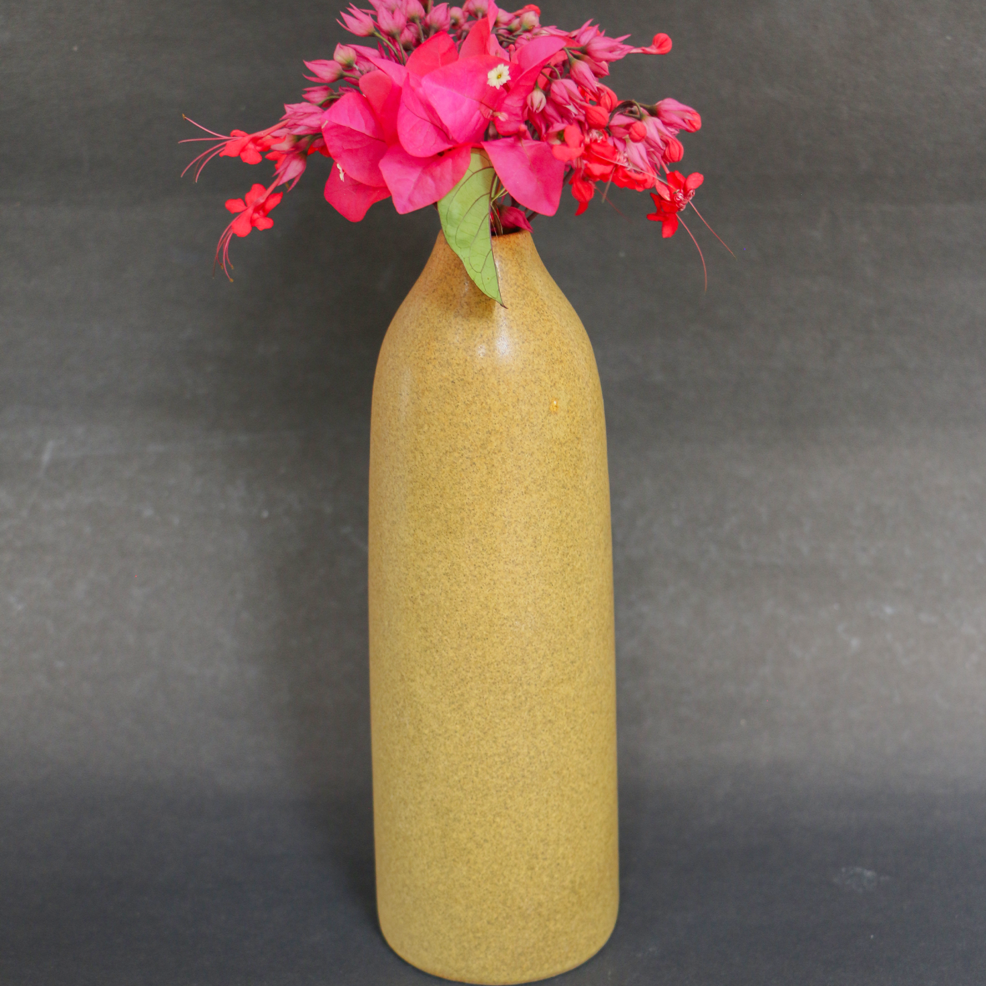 Ambi Pottery Handmade Small Vase