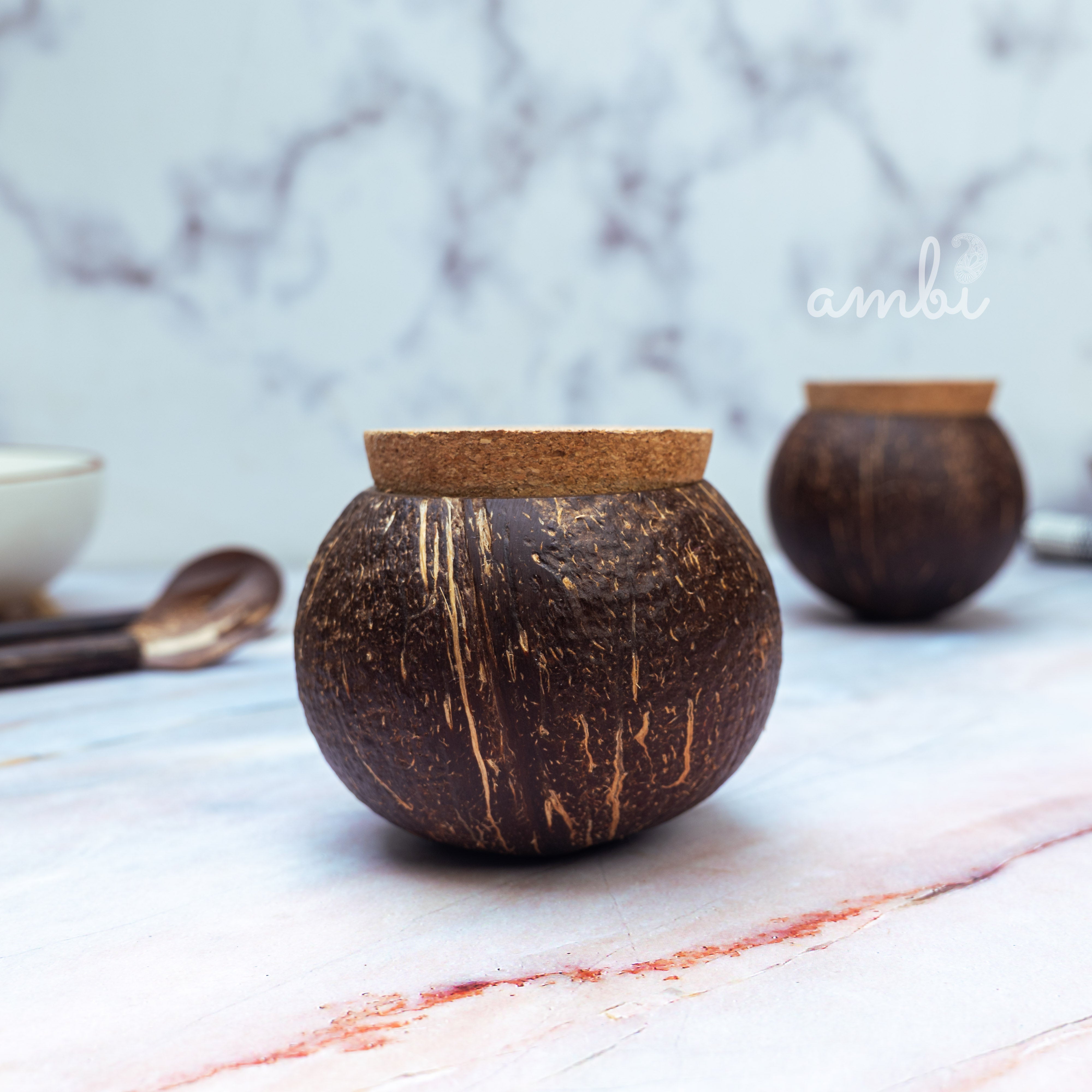 Coconut Shell Tight Storage Containers with Lid - Set of 2
