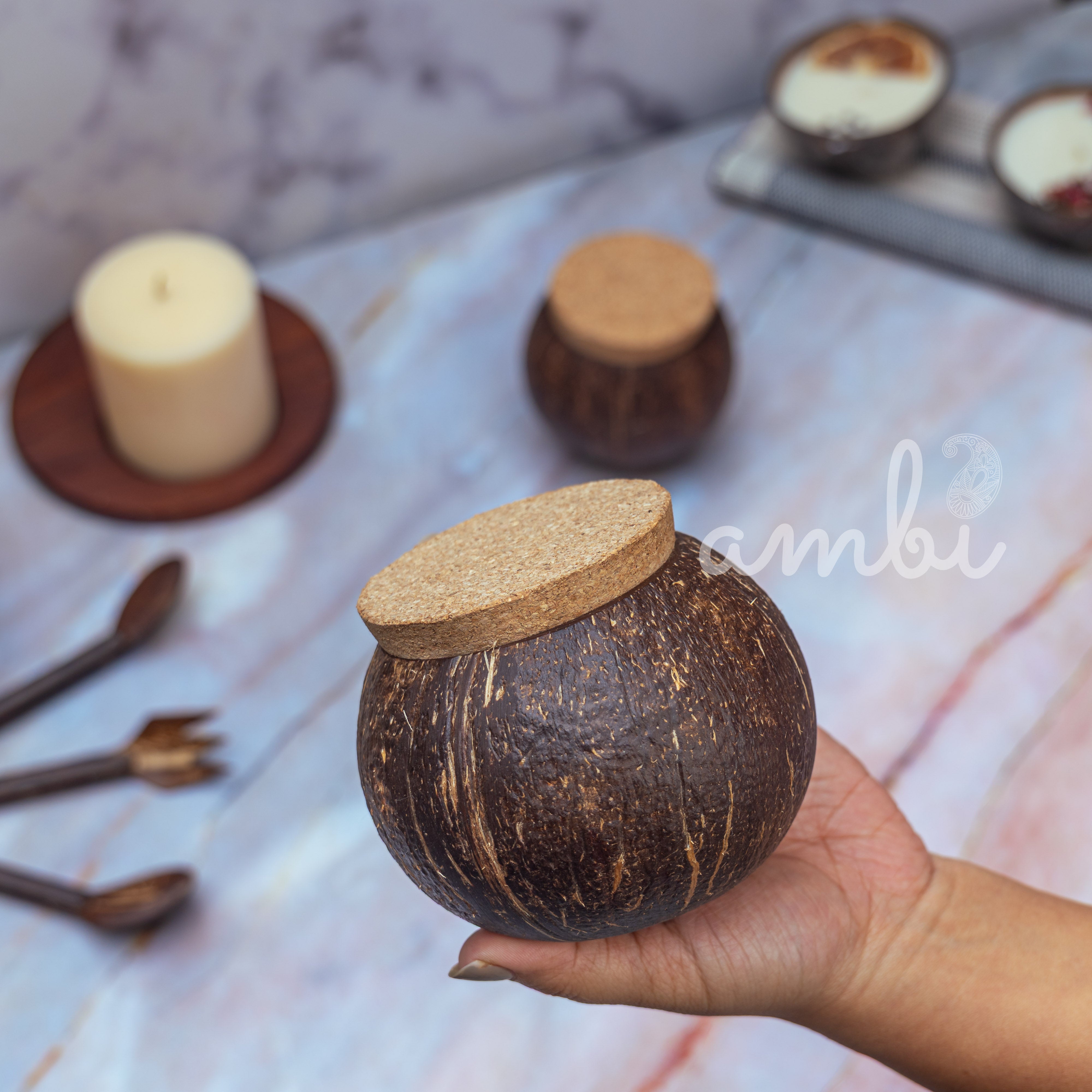 Coconut Shell Tight Storage Containers with Lid - Set of 2