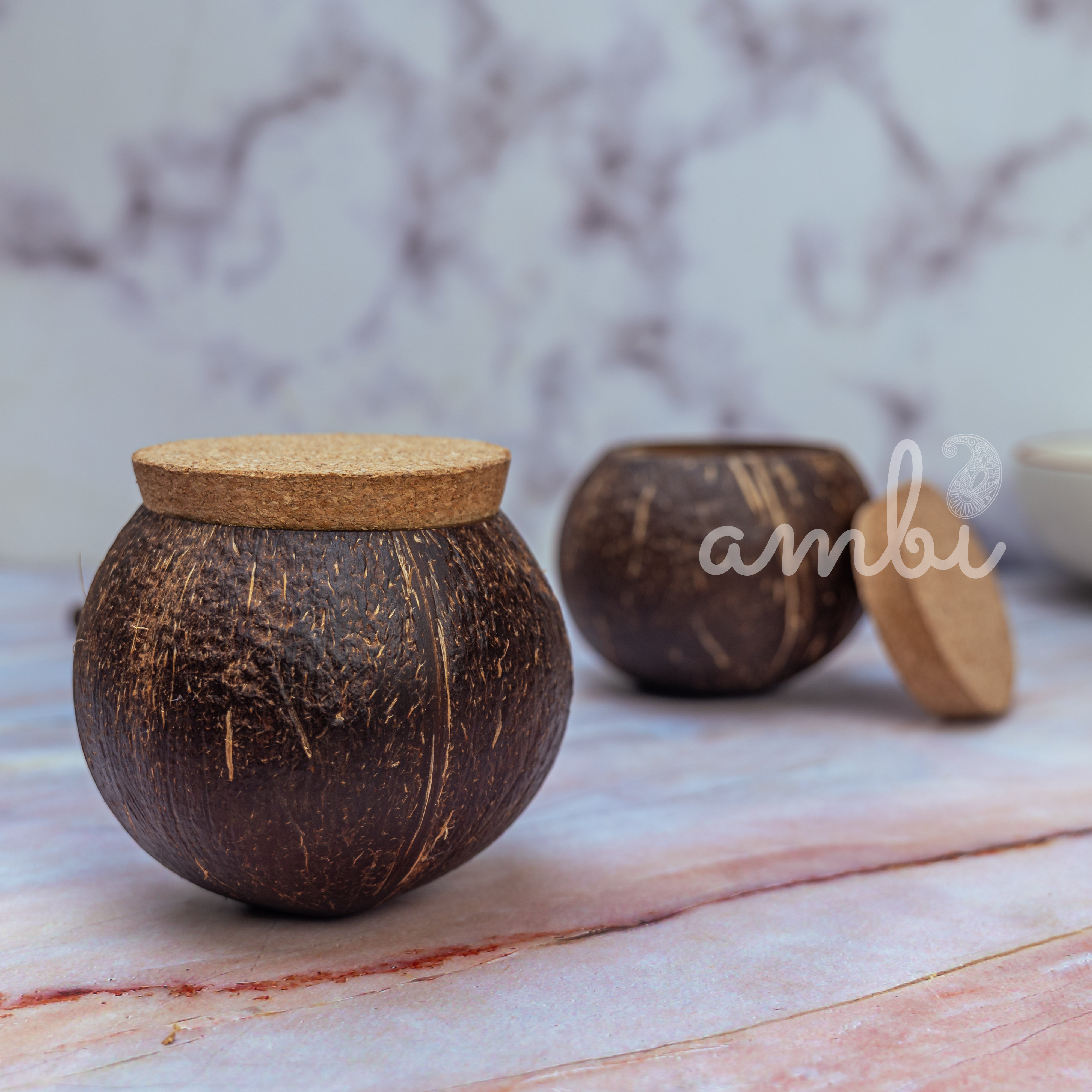 Coconut Shell Tight Storage Containers with Lid - Set of 2