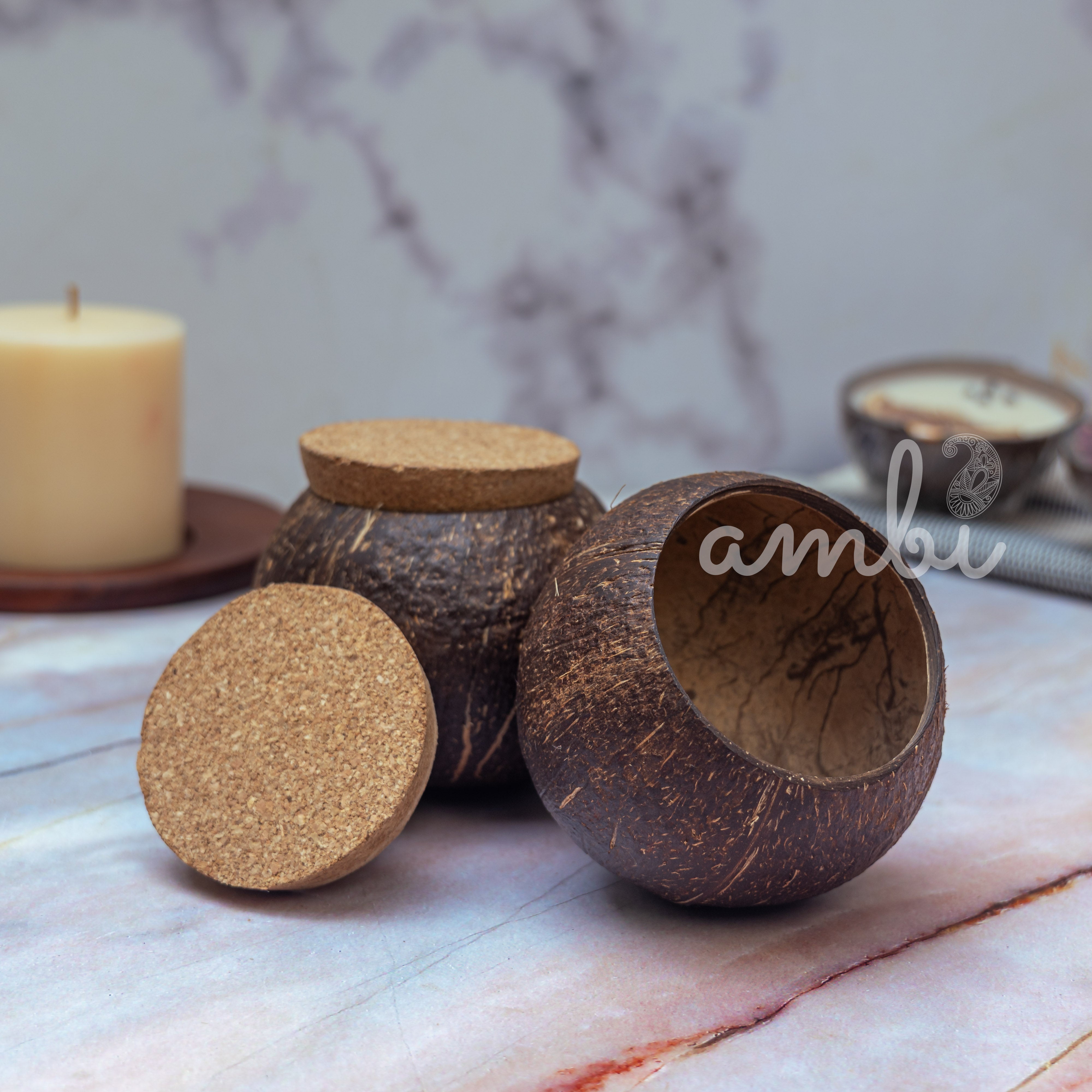 Coconut Shell Tight Storage Containers with Lid - Set of 2