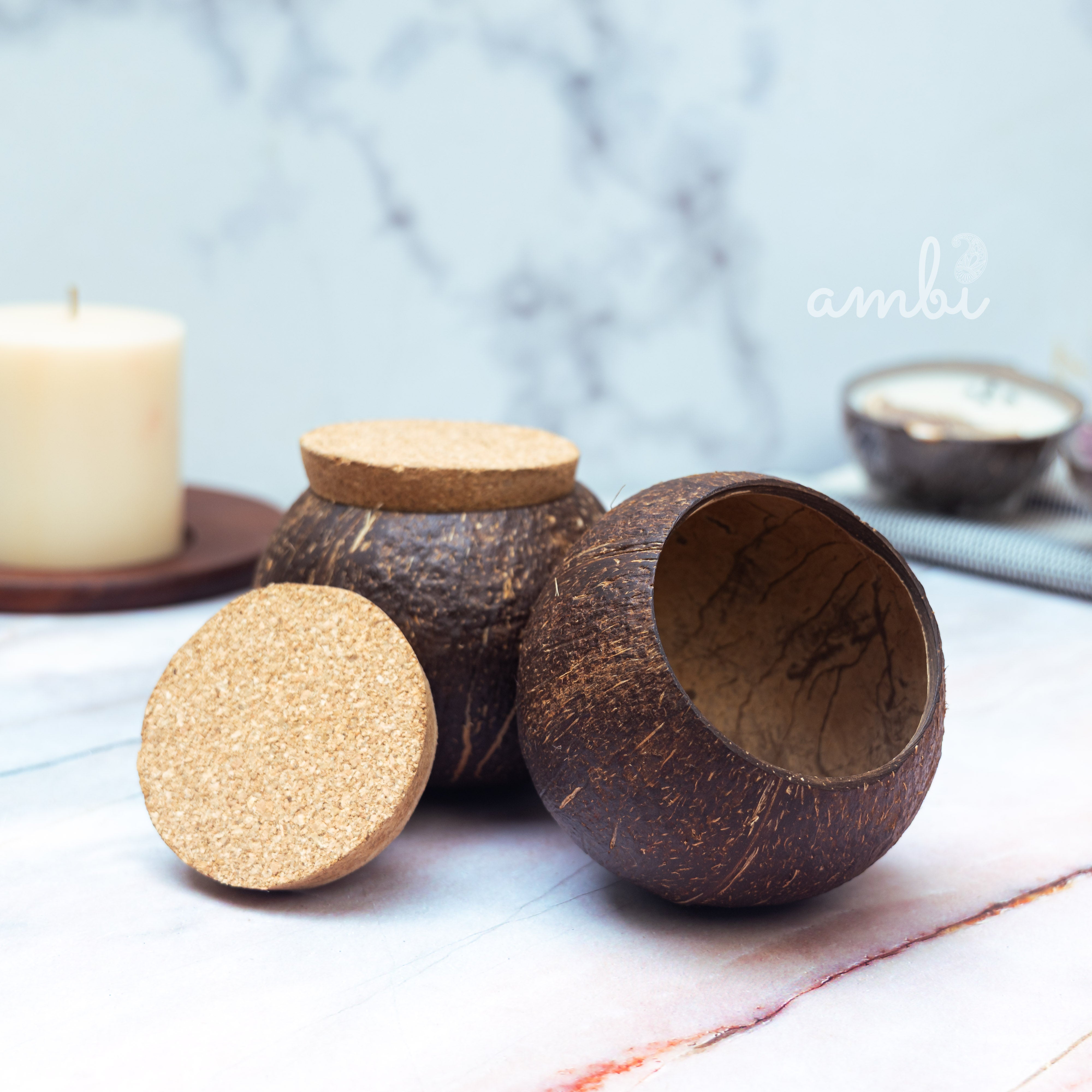 Coconut Shell Tight Storage Containers with Lid - Set of 2