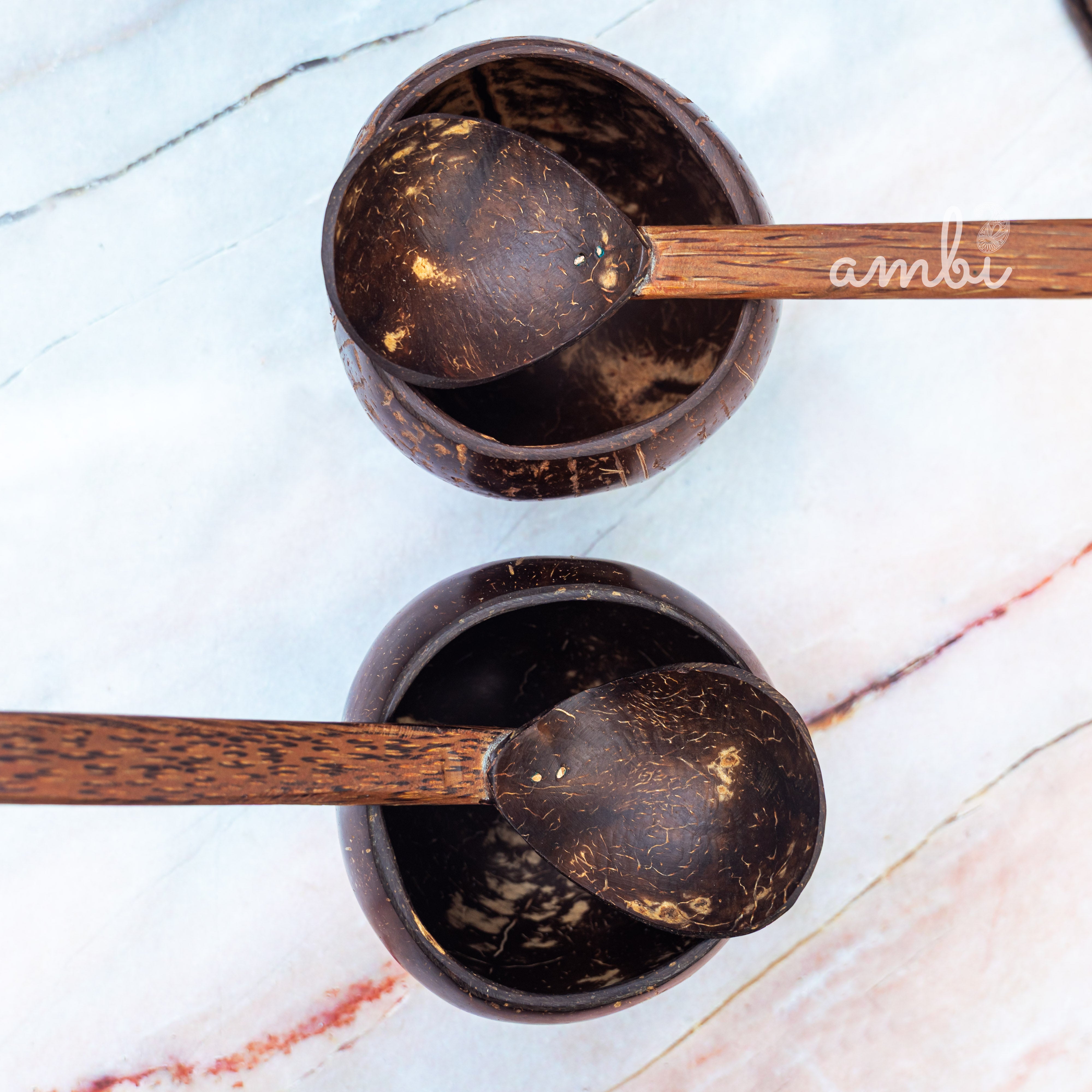 Coconut Shell Soup Bowls with Spoons - Set of 2