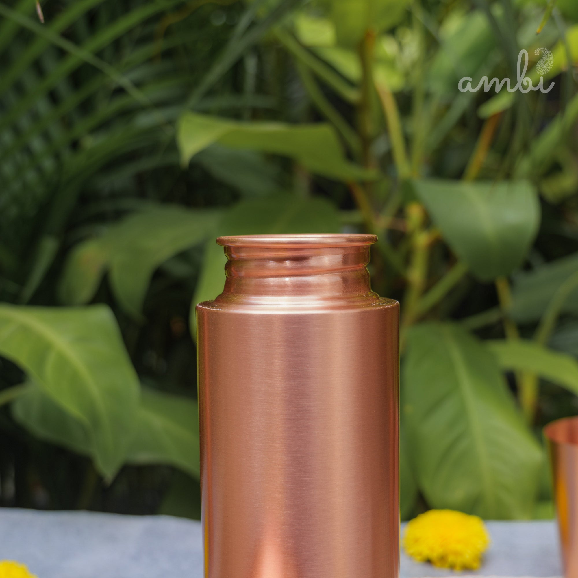 Ambi Pure Heavy Make Classy Copper Water Bottle - 700 ML