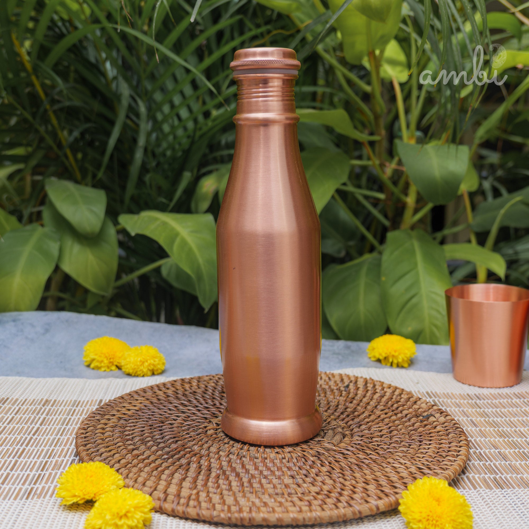 Ambi Pure Elegant Conical Copper Water Bottle - 900 ML