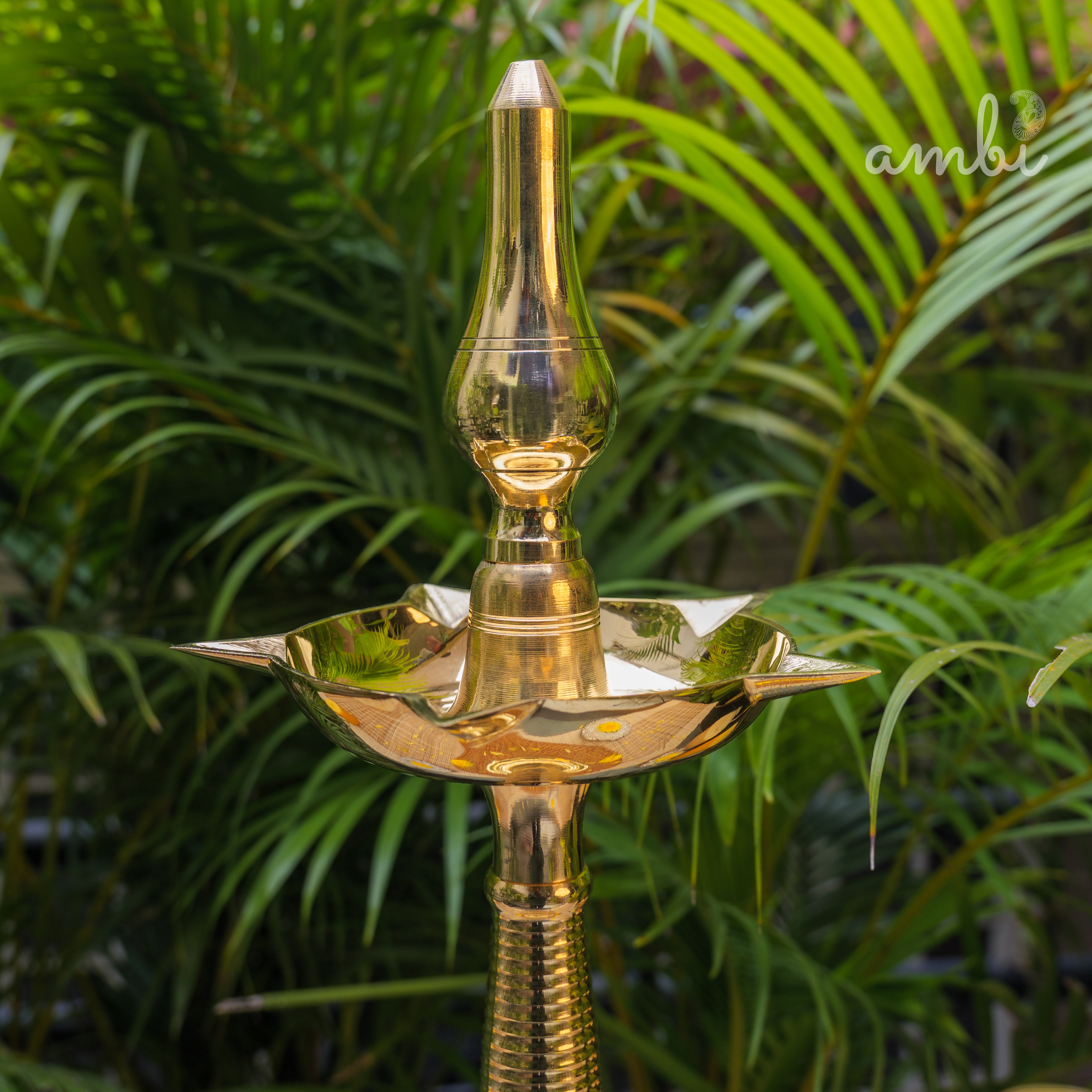 Ambi Pure Brass Kerala Pooja Deepam / Deepak tall 55 cm